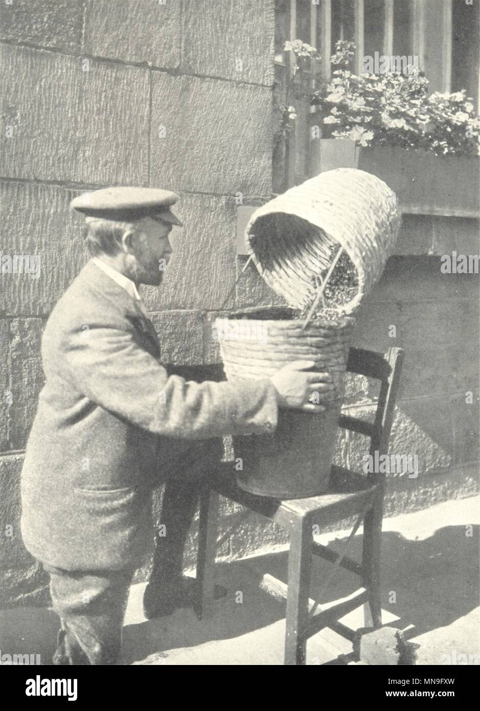 Bienen und Imkerei. Betreiber tragen Schleier & sleevelets Prüfung hive 1912 Stockfoto