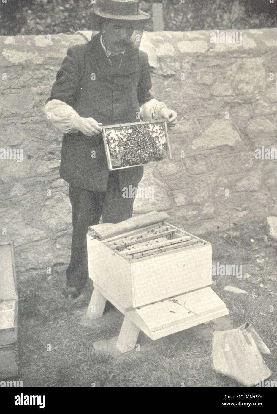 Bienen und Imkerei. Die Bienen von einem Fr 1912 alte antike Bild drucken Stockfoto