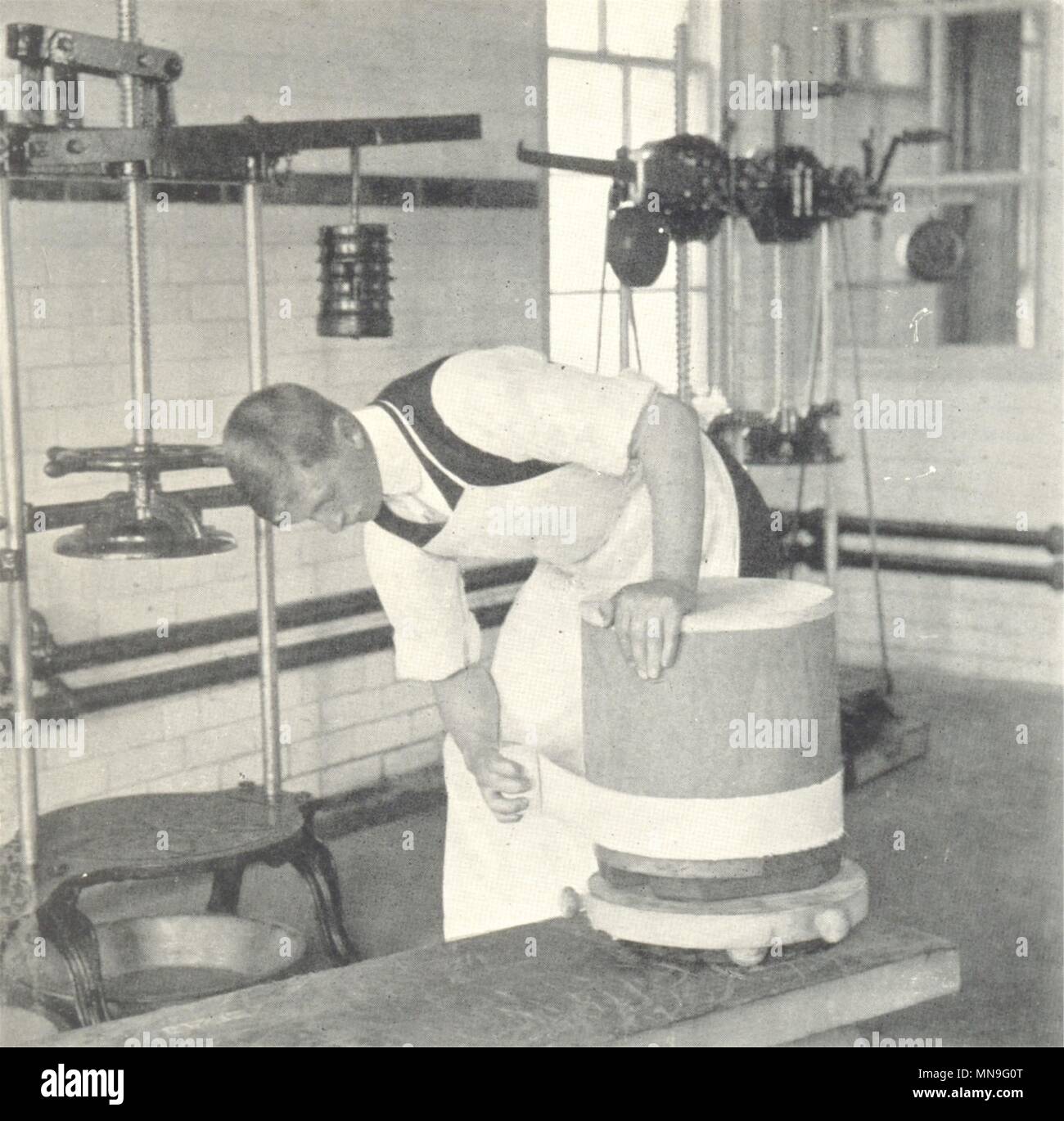 CHEDDAR Käse herzustellen. Methode der Bandagierung 1912 alte antike Bild drucken Stockfoto