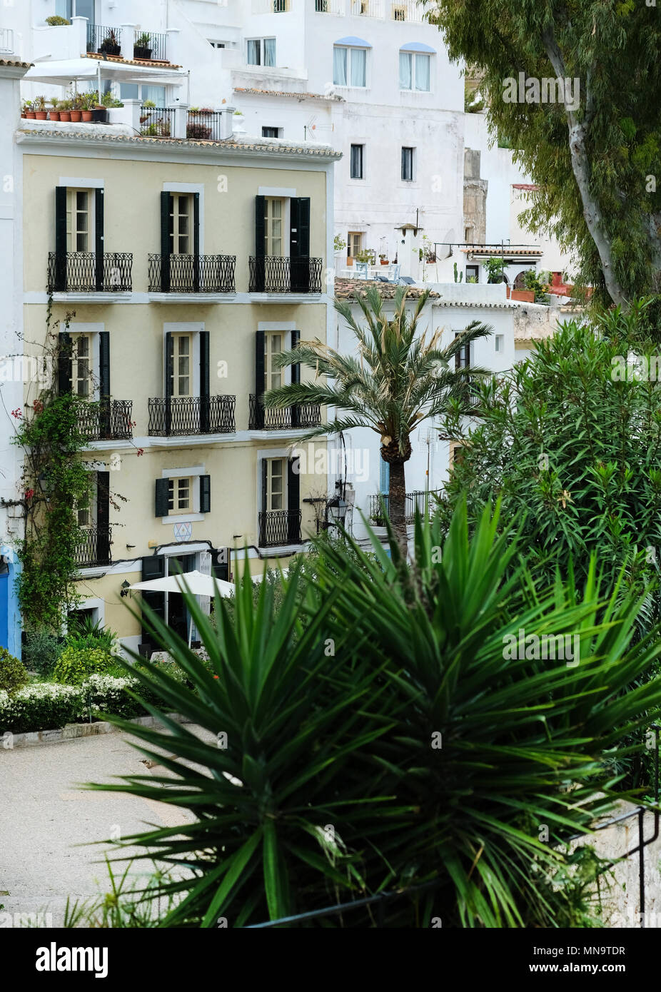 Altstadt von Ibiza (Eivissa). Weiß getünchte Häuser und Üppige Palmen. Balearen. Spanien Stockfoto