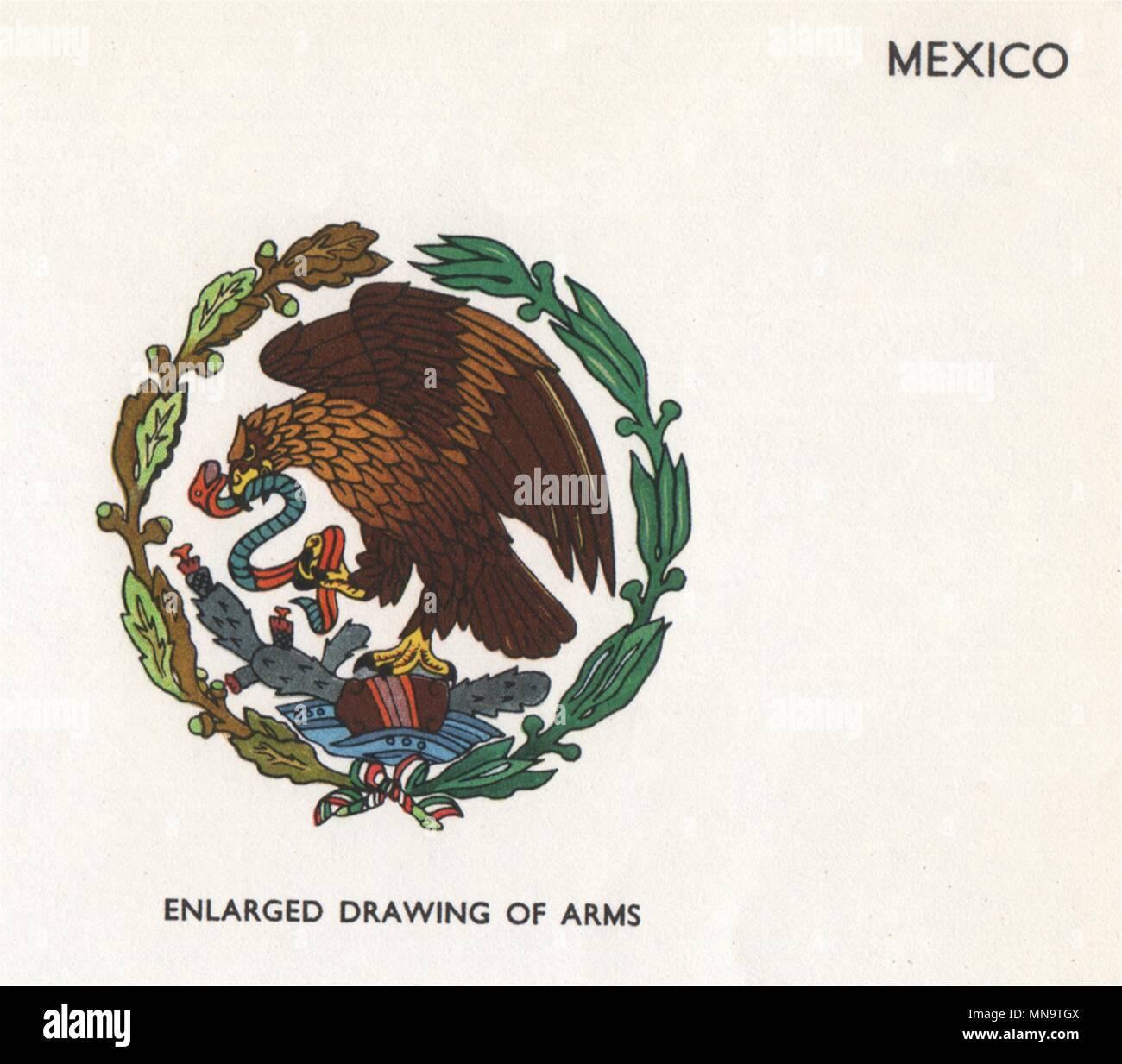 Mexiko Flaggen. Arme 1958 alte vintage Bild drucken Stockfoto