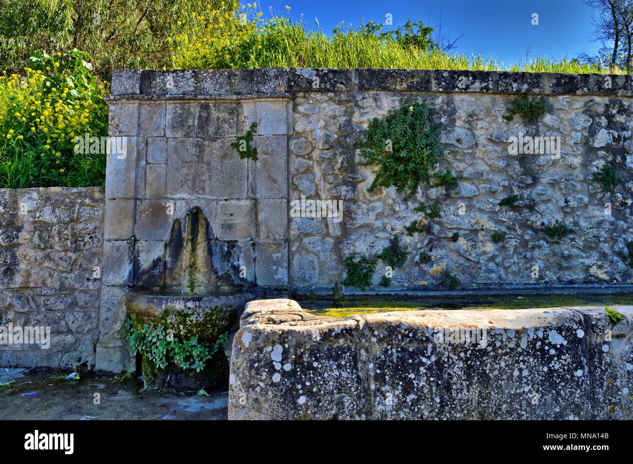 Typische sizilianische Brunnen, Caltanissetta, Italien, Europa Stockfoto