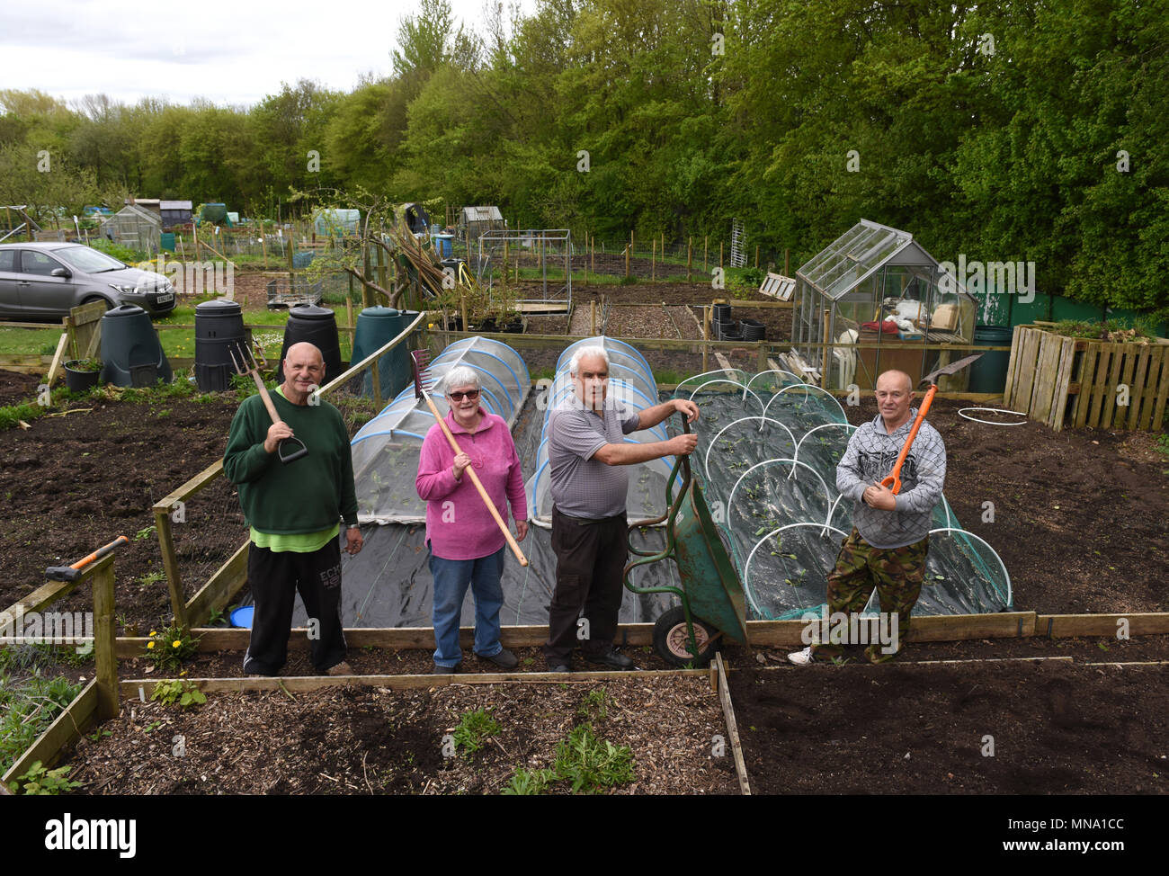 Gärtner im Woodside Zuteilungen und Freizeit Gärtner Association in Telford Uk Stockfoto