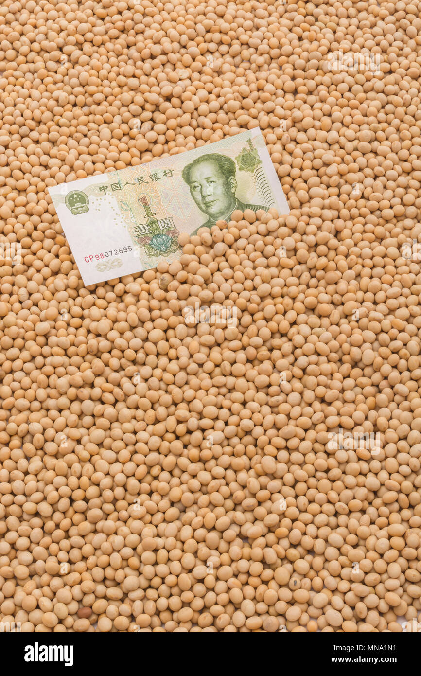 Uns China Sojabohne Tarife Konzept - Chinesische Renminbi Banknote mit Massen von Raw/chemische Sojabohnen. Uns China Handelskrieg Konzept, China soybean Tarife. Stockfoto