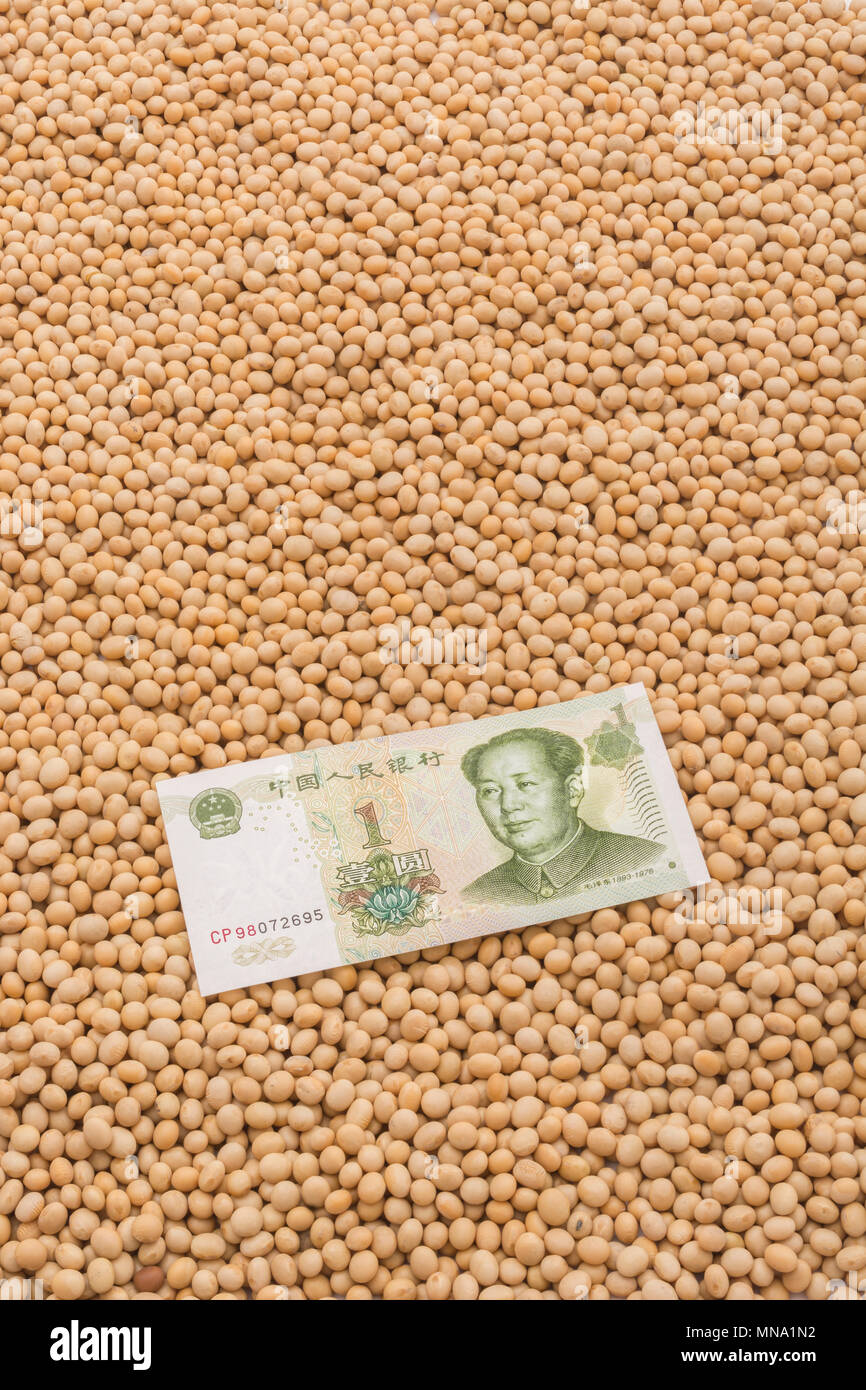 Uns China Sojabohne Tarife Konzept - Chinesische Renminbi Banknote mit Massen von Raw/chemische Sojabohnen. Uns China Handelskrieg Konzept, China soybean Tarife. Stockfoto