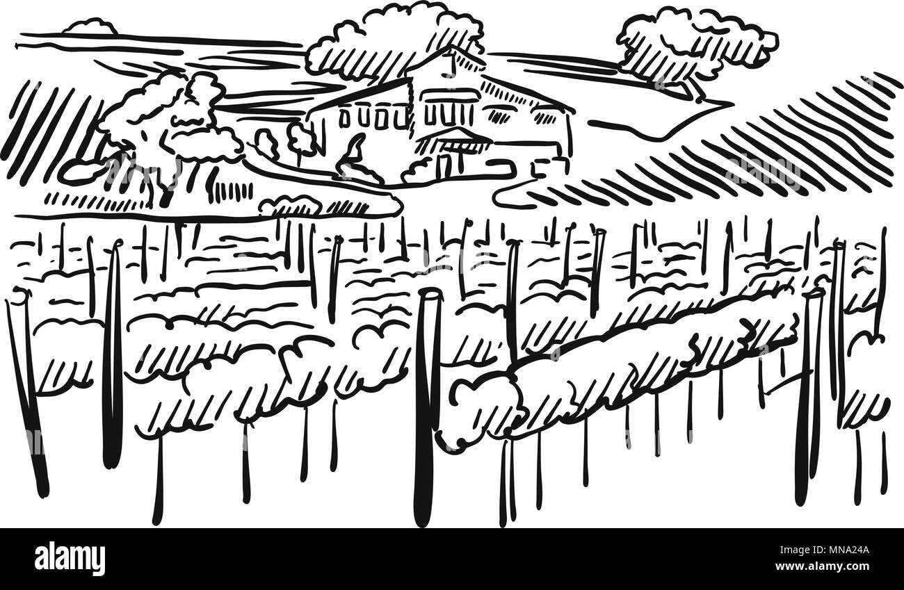 Die kalifornischen Weinberge mit Hügeln und Haus, Vektor skizziert Artwork Stock Vektor