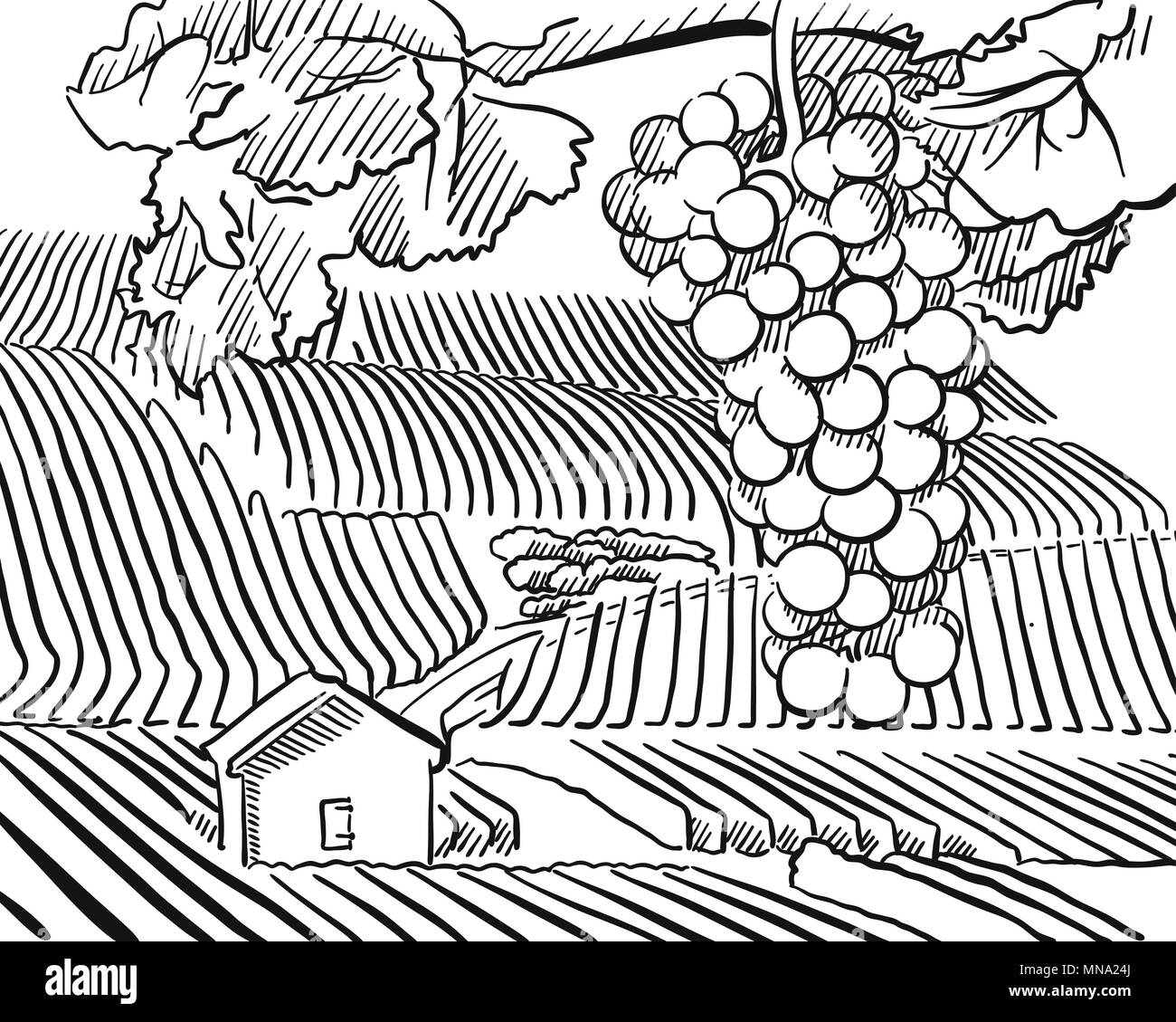 Weinberg Hügel mit hängenden Trauben im Vordergrund, Vektor skizziert Umrisse Artwork Stock Vektor