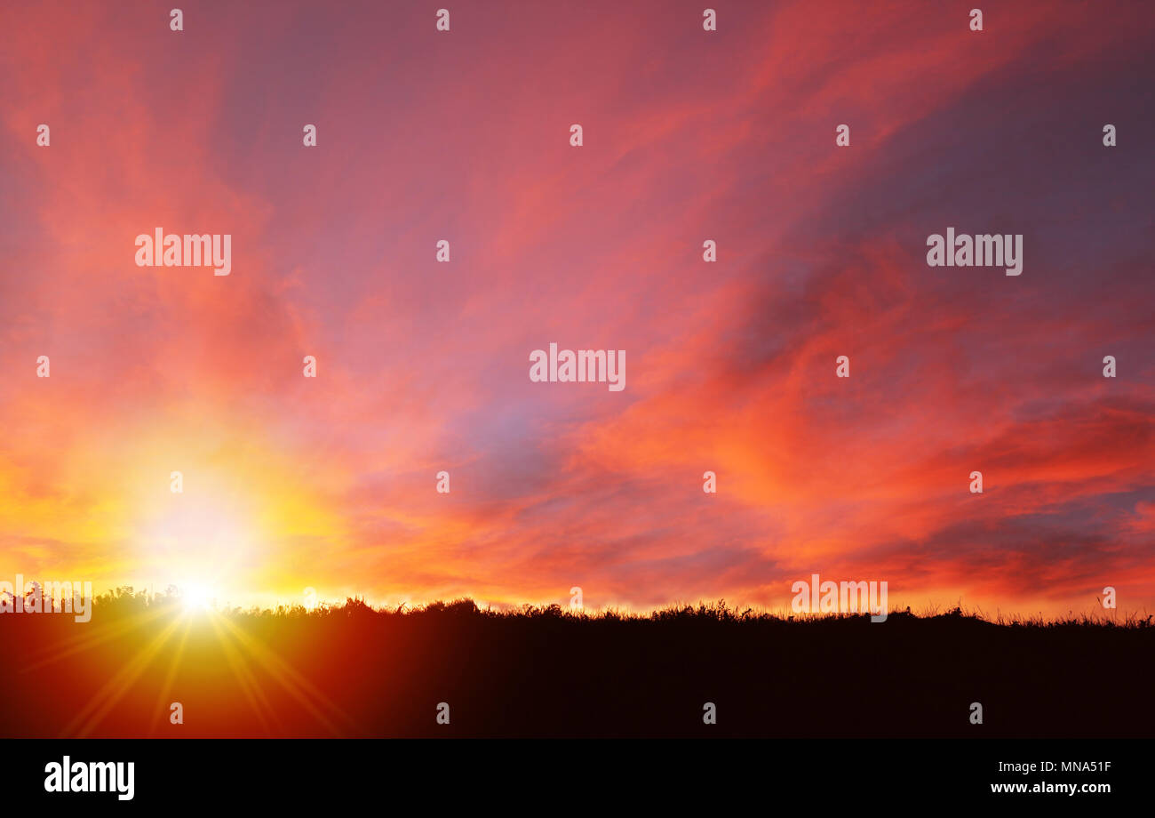 Low Angle Shot der goldenen Sonnenuntergang über im freien Feld Silhouette mit Star Burst und Lens Flare zur Verwendung als Hintergrund. Southern Alberta Landschaft. Stockfoto