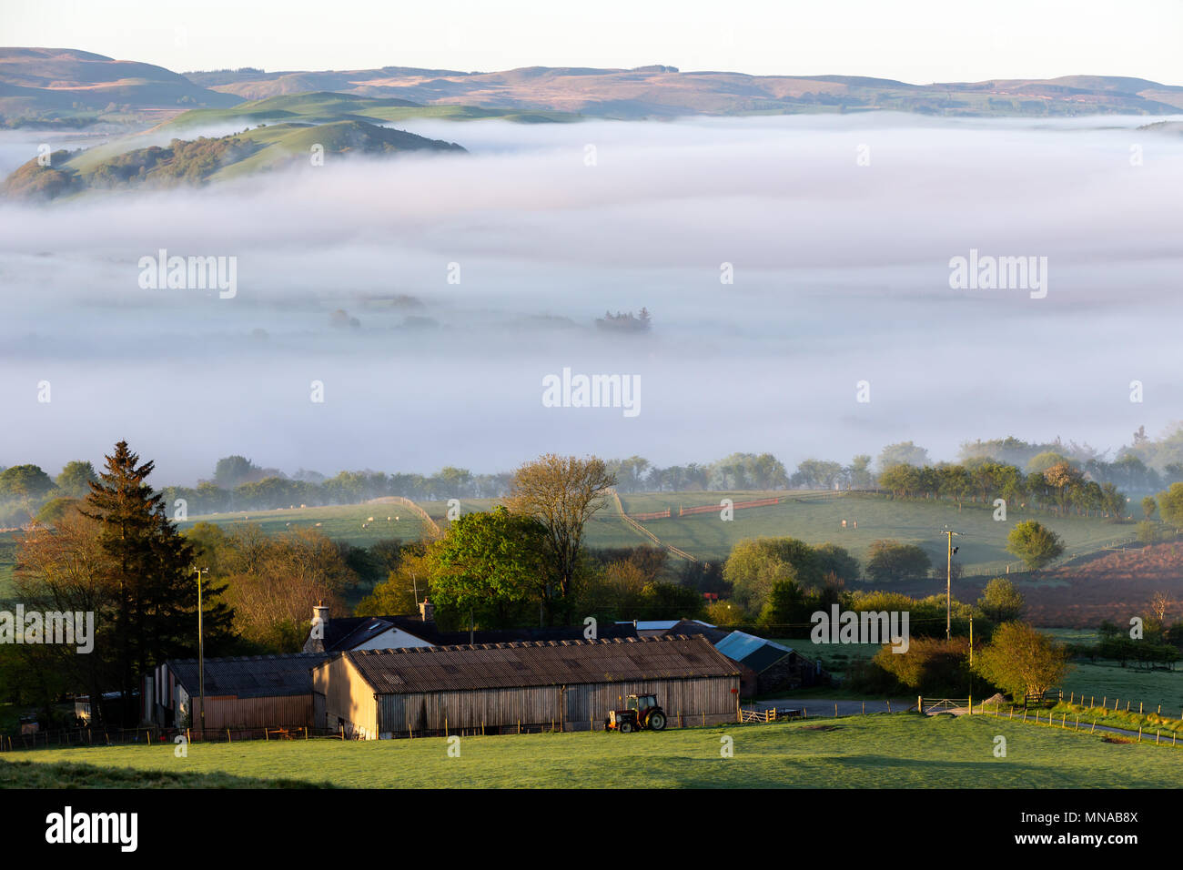 Ystrad Meurig, Ceredigion, Wales, Großbritannien, 15. Mai 2018 Deutschland Wetter: Nebel und umarmt den Oberlauf der Teifi Tal, entlang der Kante der Cambrian Mountains in Wales. Als die Sonne scheint hell über der kleinen ländlichen Dorf Ystrad Meurig. Credit: Ian Jones/Alamy leben Nachrichten Stockfoto