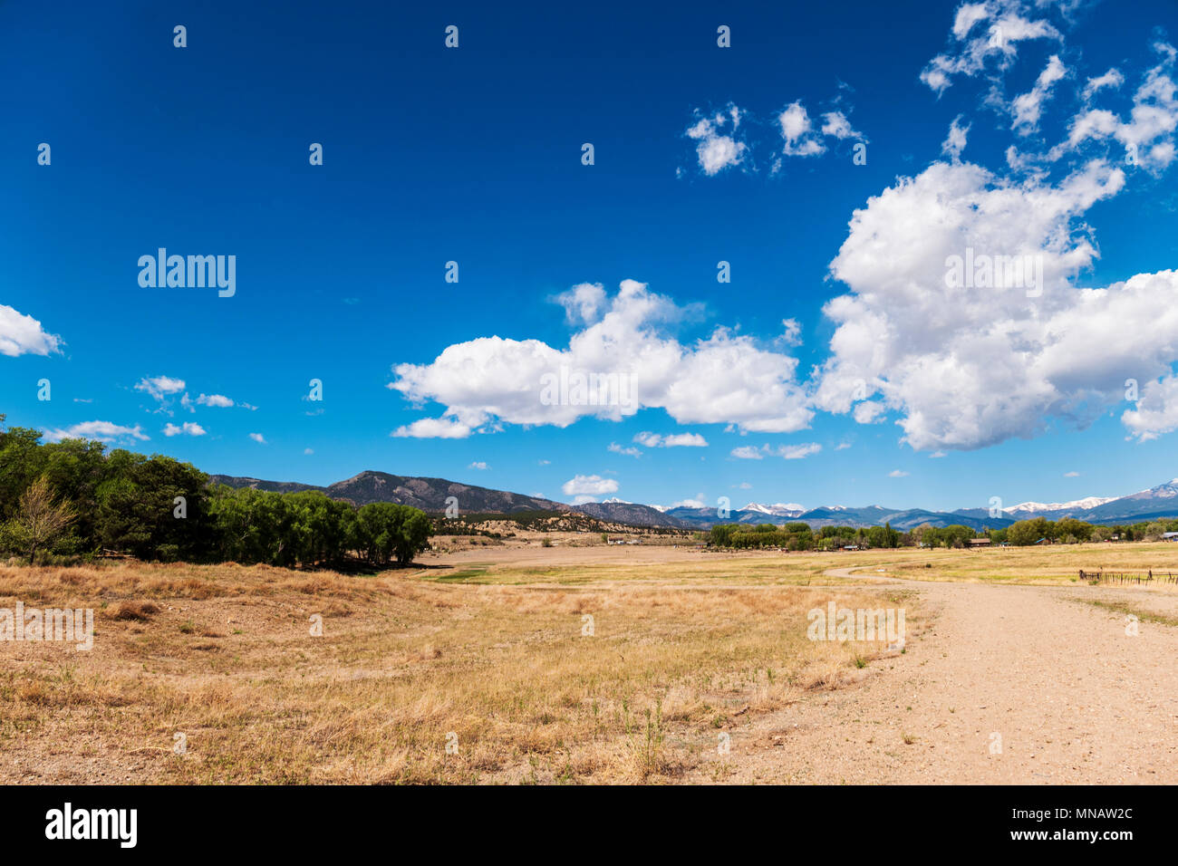 Geschwollene weiße Wolken gegen eine klare azurblauen Himmel; Vandaveer Ranch; Salida, Colorado, USA Stockfoto