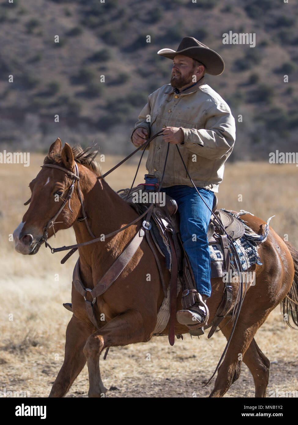 Echte Cowboys Stockfoto