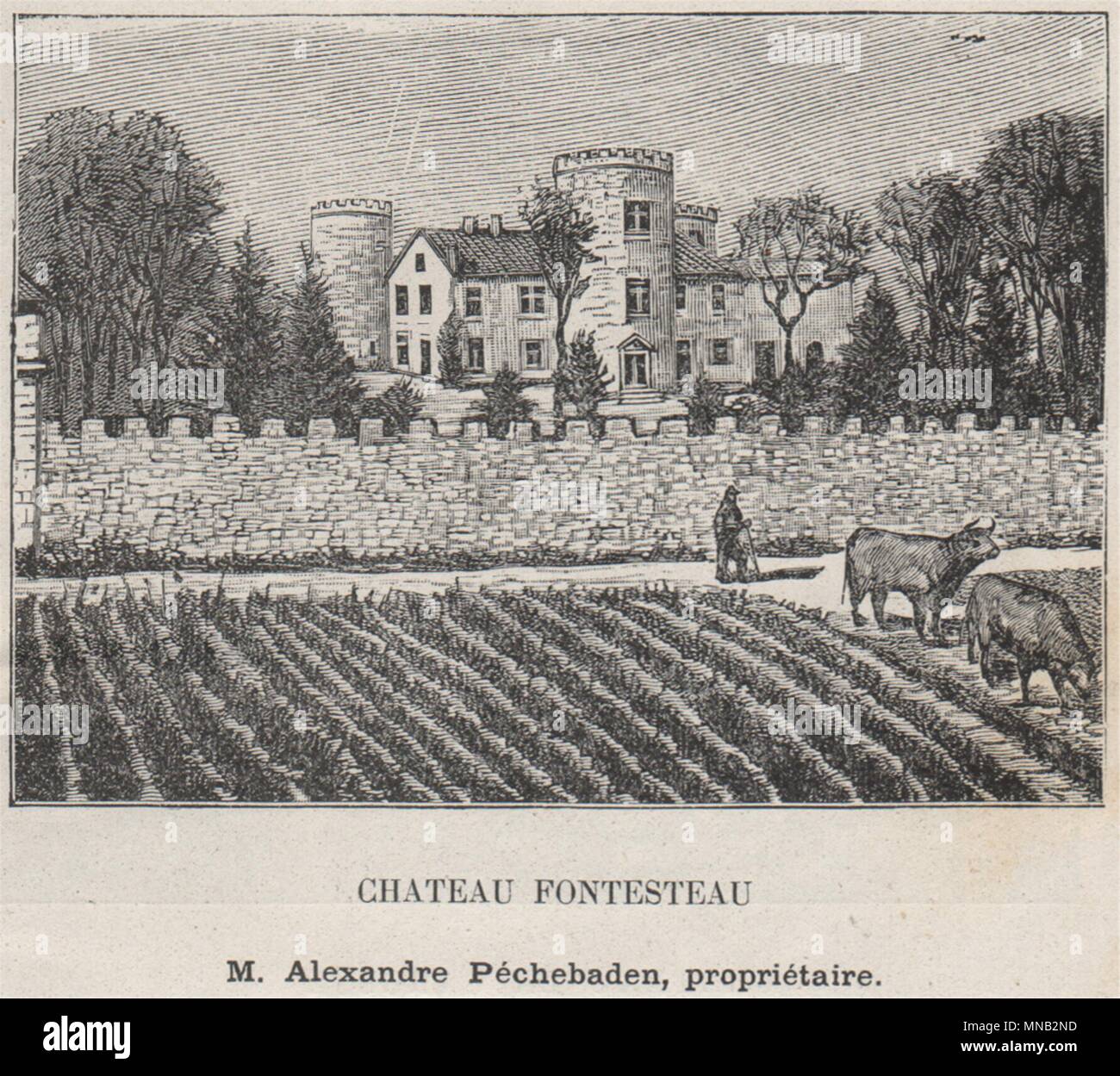 MÉDOC. SAINT-SAUVEUR. Chateau Fontesteau. Péchebaden. Bordeaux. Kleine 1908 Stockfoto