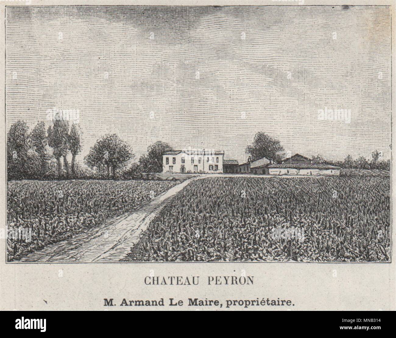 GRANDS VINS BLANCS. FARGUES. Chateau Peyron. Maire. Bordeaux. Kleine 1908 Drucken Stockfoto