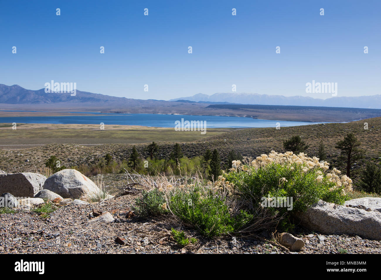 Crowley Lake in der östlichen Sierra Nevada Kalifornien USA Stockfoto
