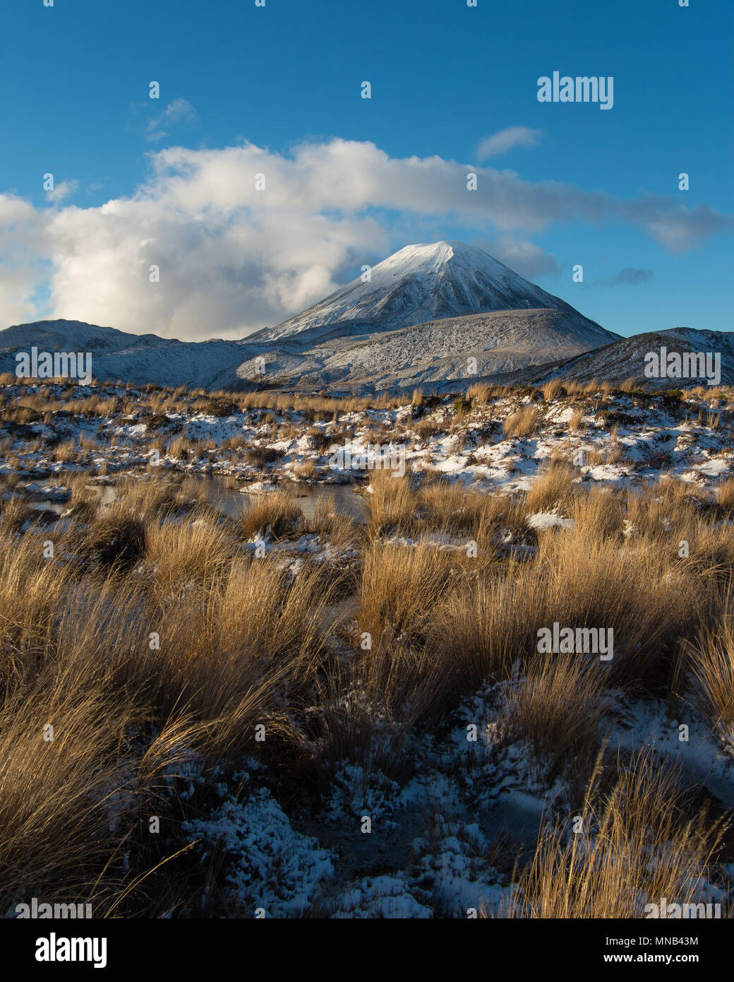 Mt Ngauruhoe aus der Tama Seen Wanderung Stockfoto