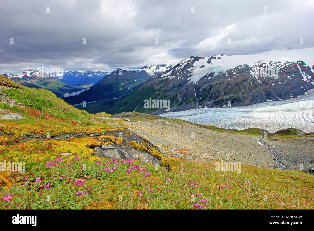 Ausfahrt Glacier, Harding Eisfeld, Kenai Fjords National Park, Alaska Stockfoto
