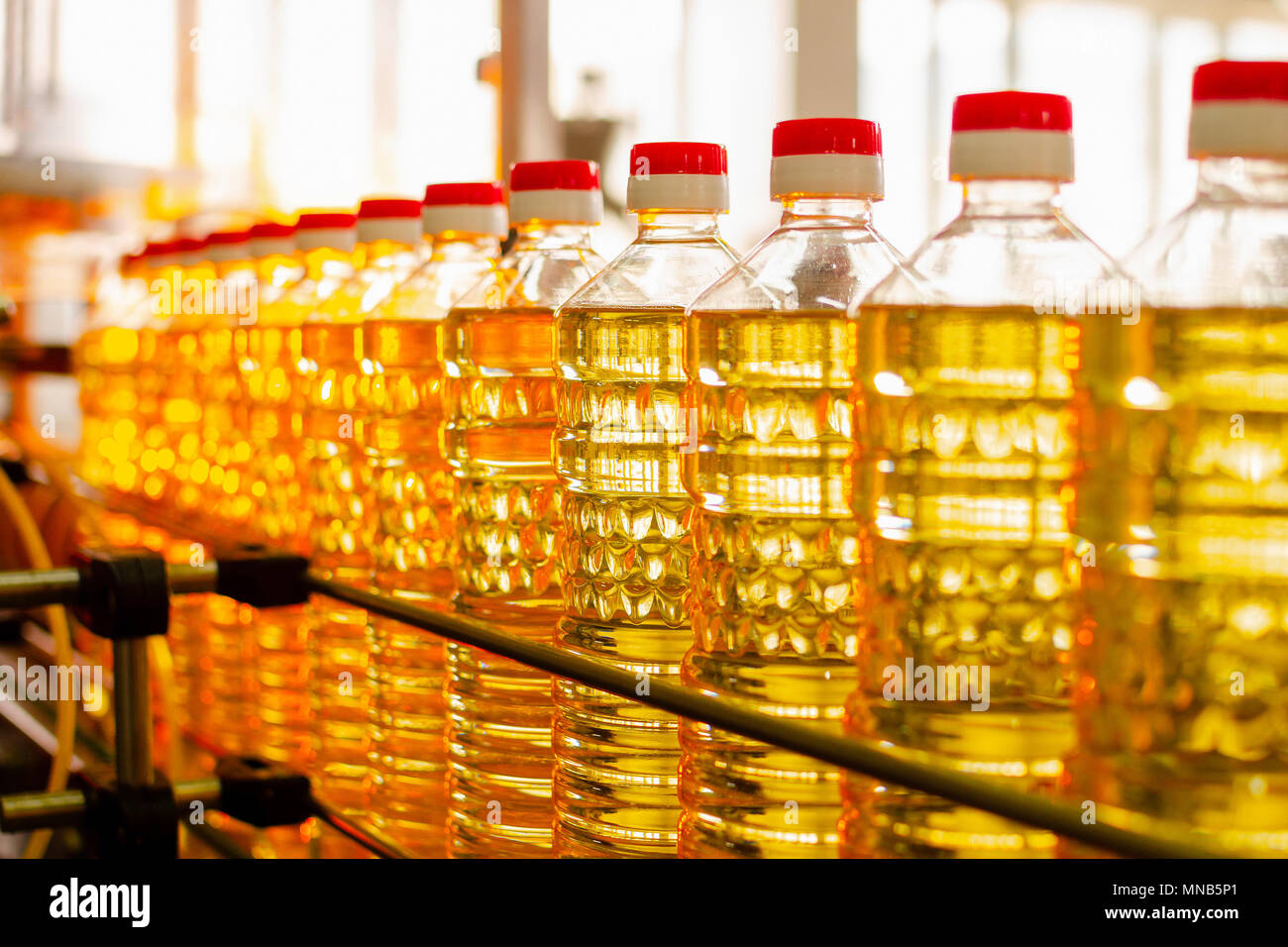Sonnenblumenöl. Factory Line der Herstellung und Abfüllung von raffiniertem Öl aus Sonnenblumenkernen. Factory Fördertechnik in der Lebensmittelindustrie. Stockfoto