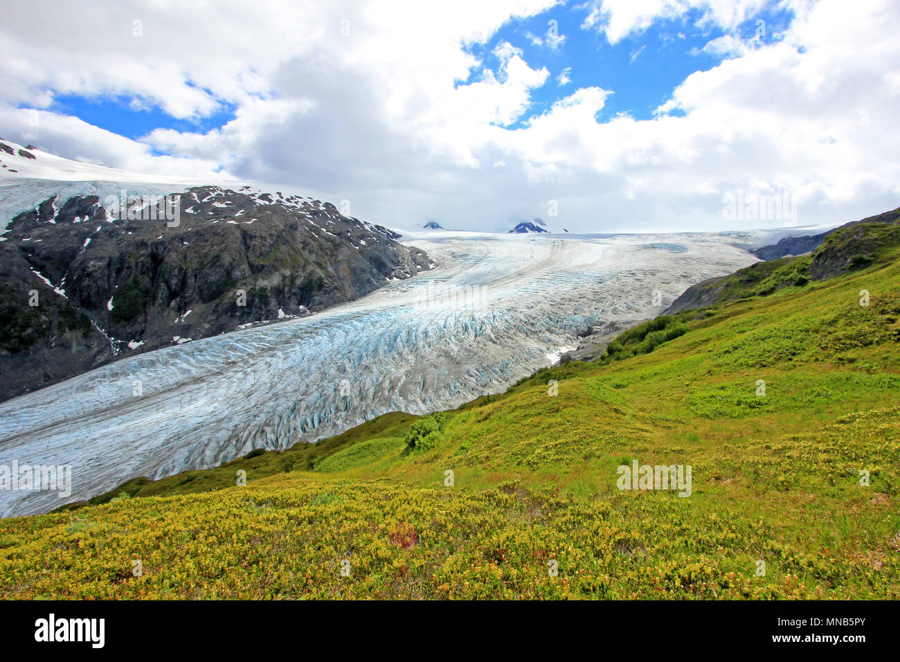 Ausfahrt Glacier, Harding Eisfeld, Kenai Fjords National Park, Alaska Stockfoto