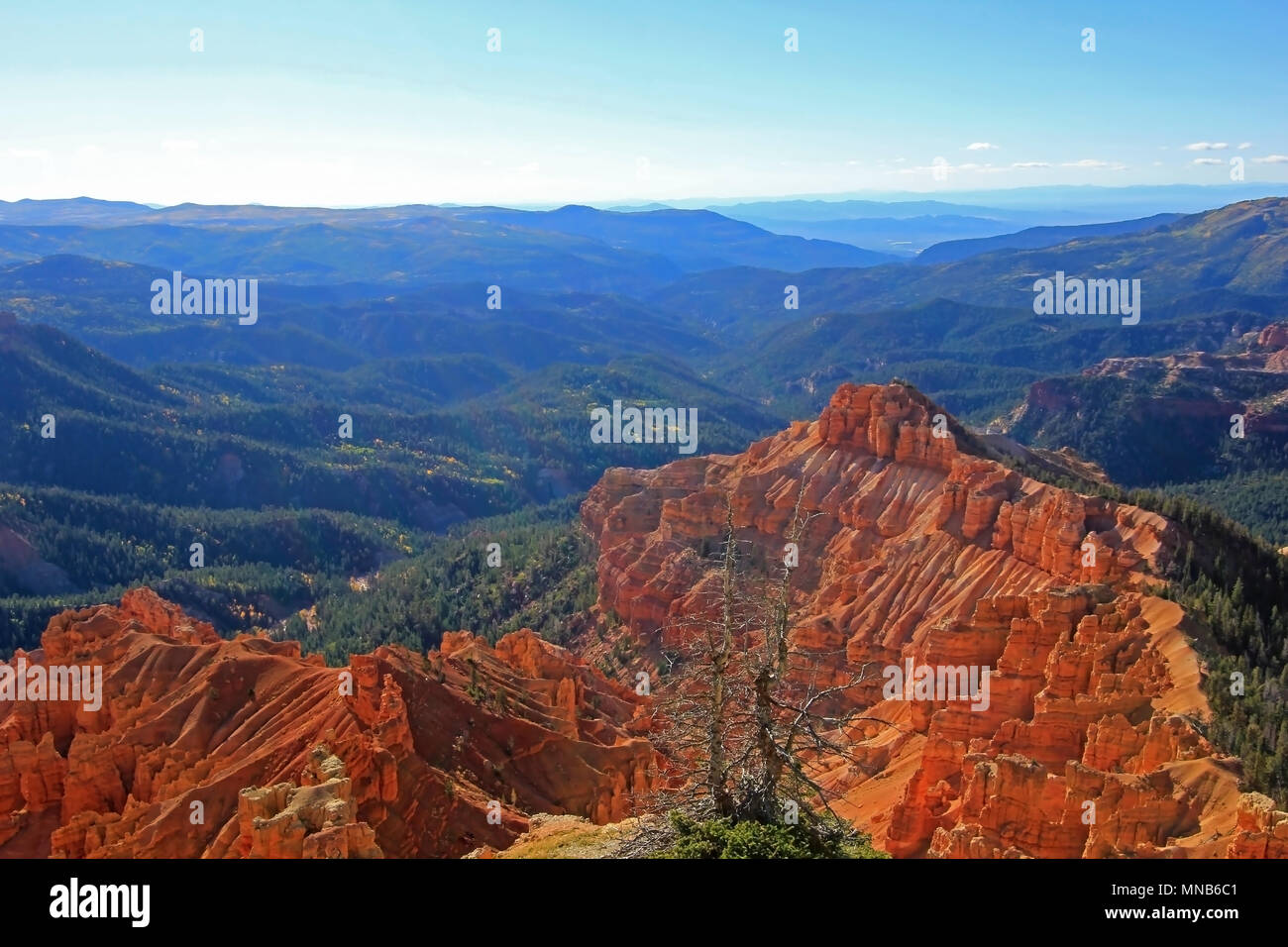 Cedar Breaks National Monument, USA Stockfoto