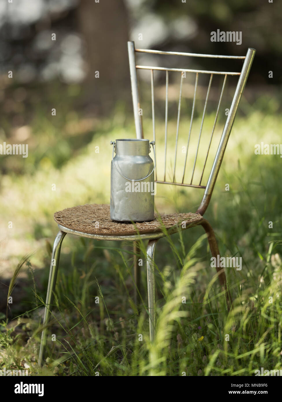 Retro wenig Barrel für Milch steht auf einem Stuhl vor dem Hintergrund der Natur Stockfoto