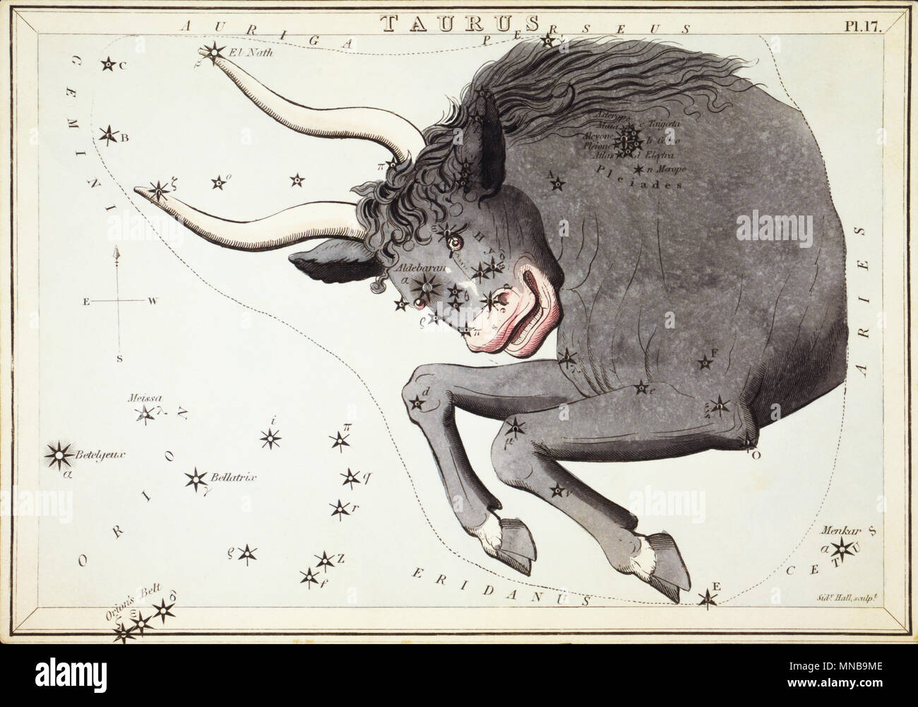 Taurus. Karte Nummer 17 von Urania's Mirror, oder einen Blick auf den Himmel, eines der 32 astronomischen Star Chart Karten von Sidney Hall graviert und publshed 1824. Stockfoto