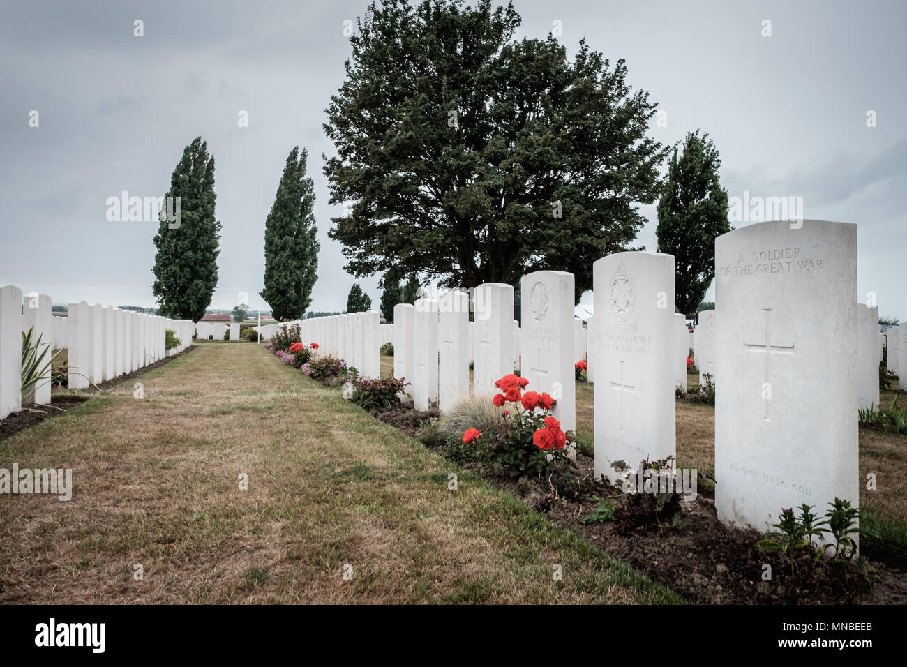 Gräber in der Tyne Cot Commonwealth War Cemetery, in der Nähe von Passendale, Belgien. Stockfoto