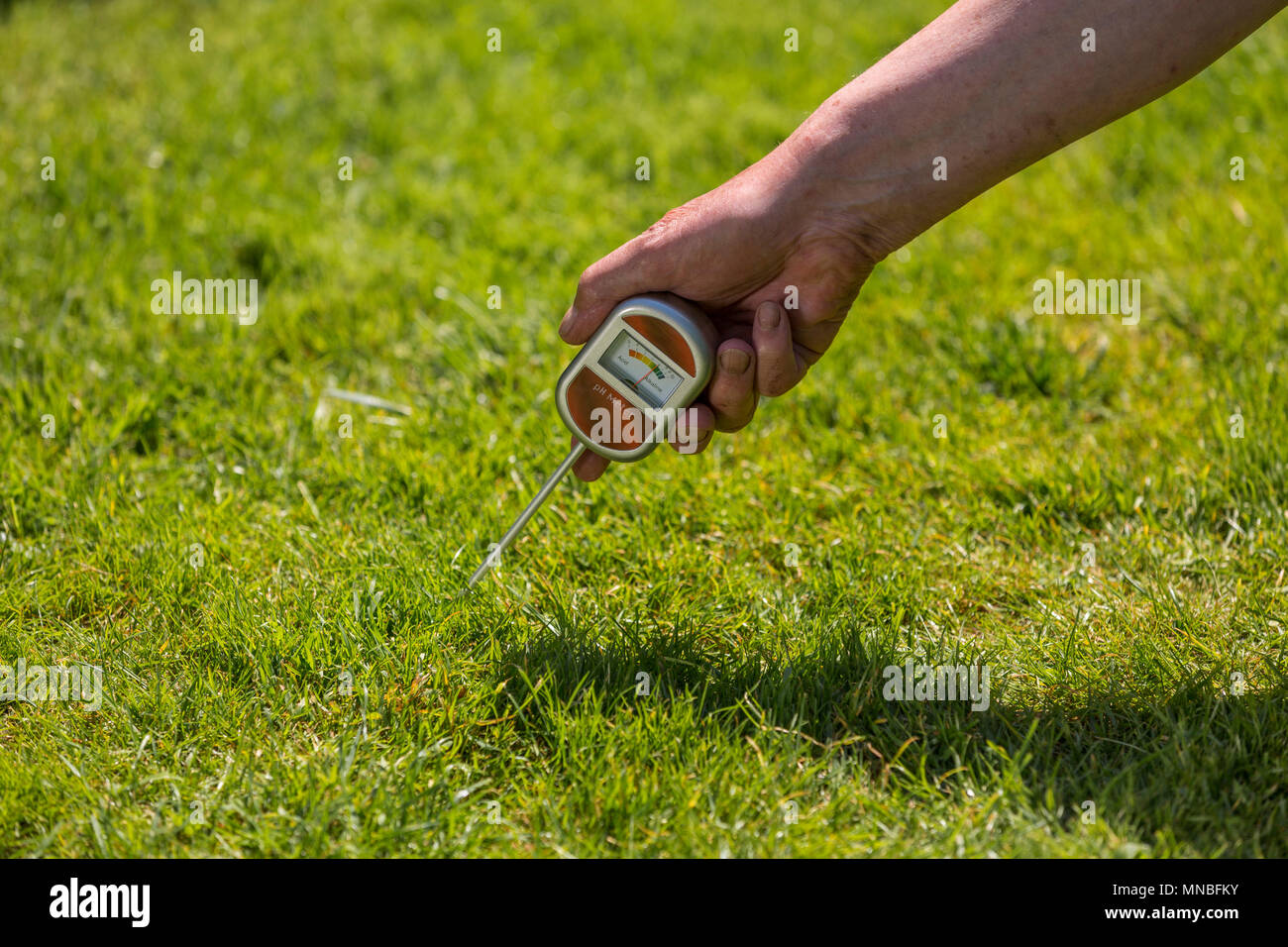 Prüfung der Boden mit einem pH-Tester den Säuregehalt des Bodens in einem Garten Rasen zu prüfen. Stockfoto