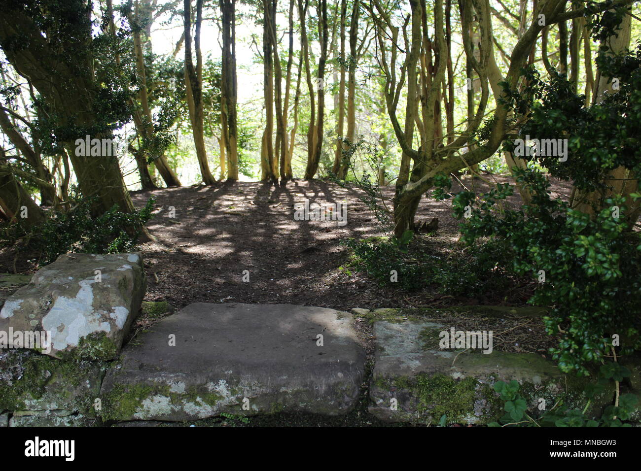 Mary Queen of Scots Bower Stockfoto