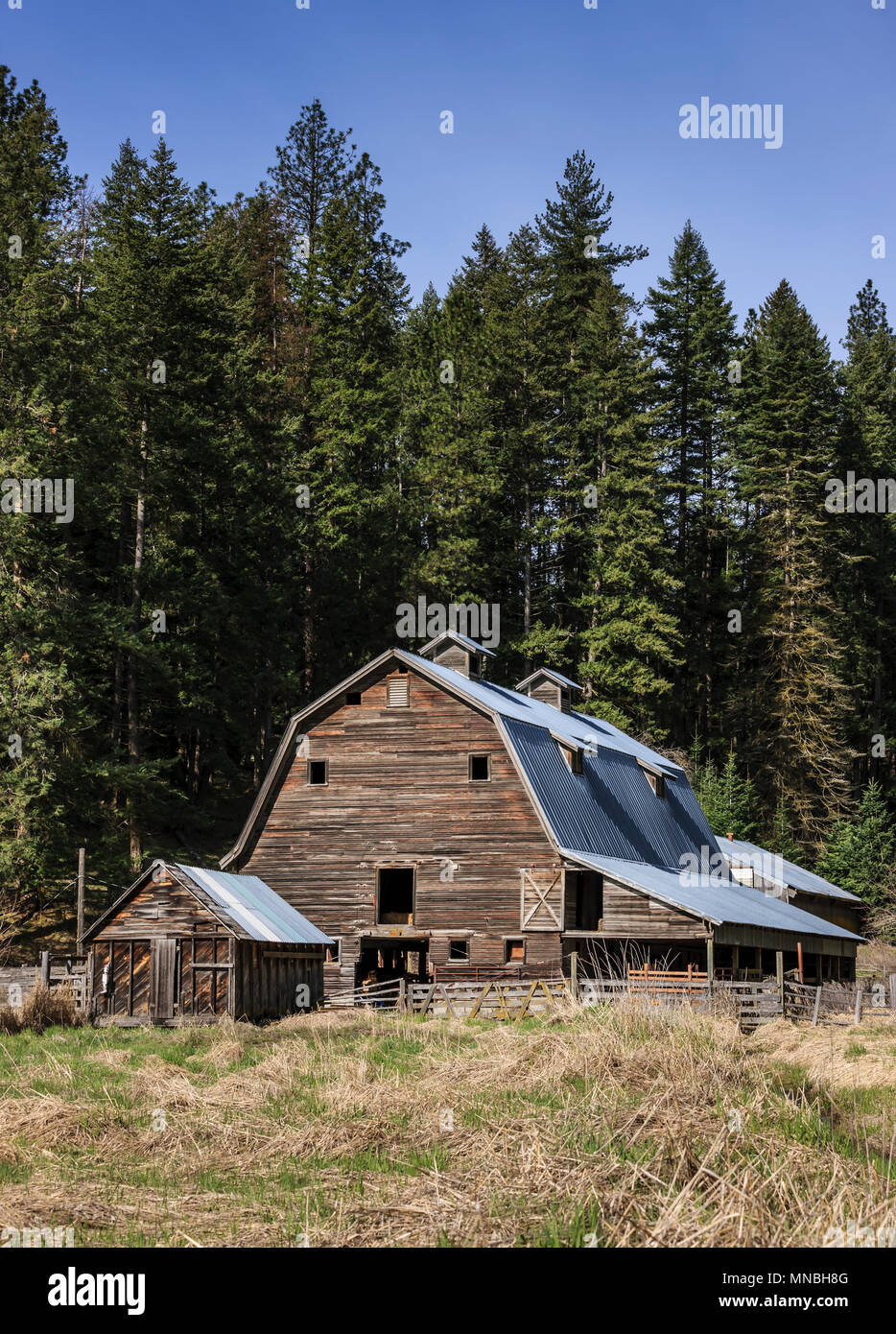 Eine alte rustikale Scheune auf dem Land in der Nähe von Coeur d'Alene, Idaho. Stockfoto