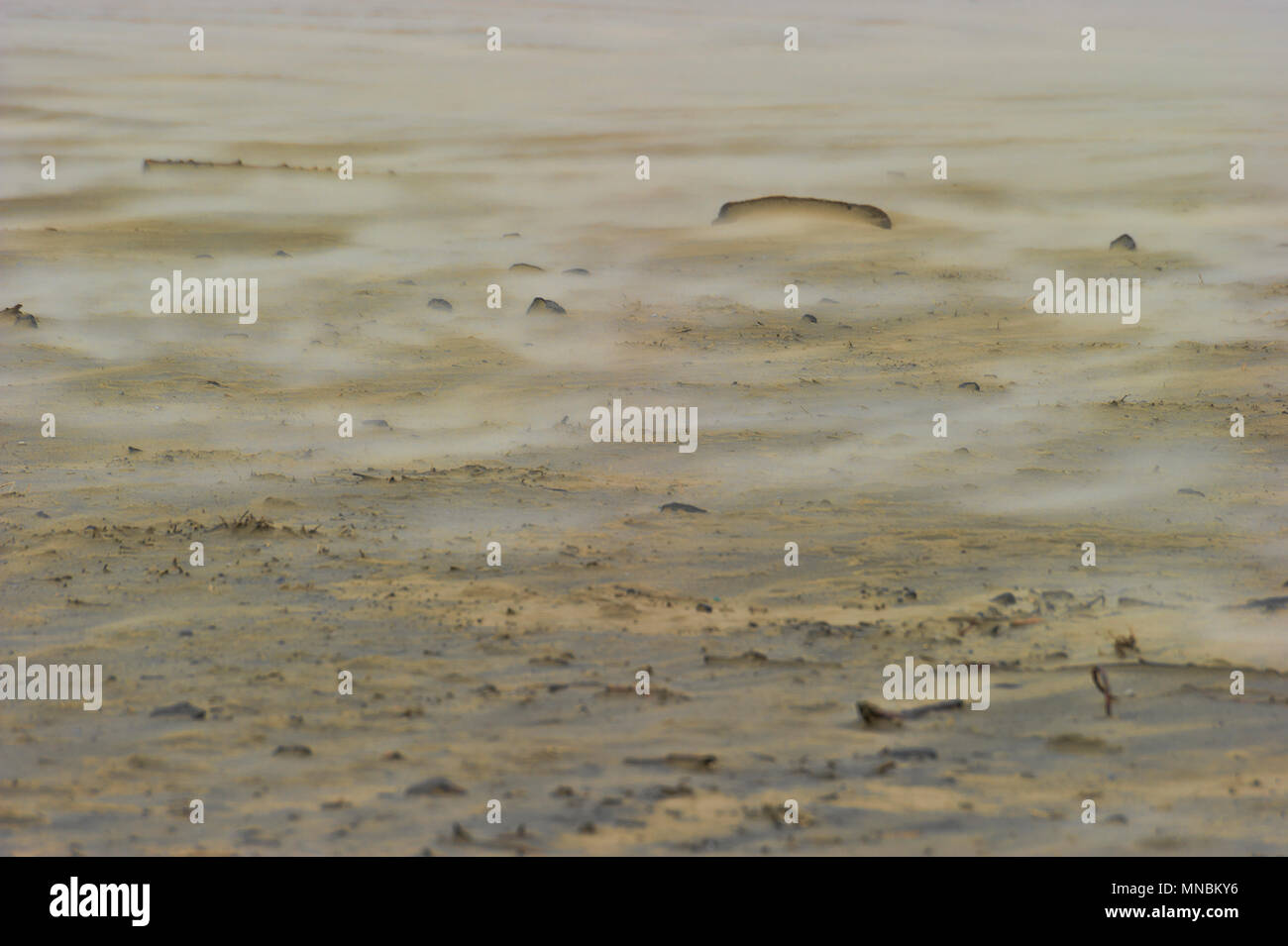 Ein stürmischer Tag auf der Oregon Küste wie diese Nahaufnahme der Sand am Strand ist um in diesem Hintergrundbild geblasen. Stockfoto