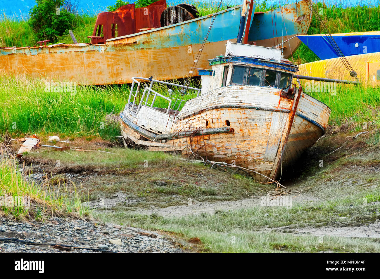 Eine alte verlassene verrotten Boot sitzt in ein schlammiges Feld, die angezeigt werden, einen Friedhof für alte Boote zu sein. Der Wanderweg entlang der Kachemak Bucht gesehen. Stockfoto