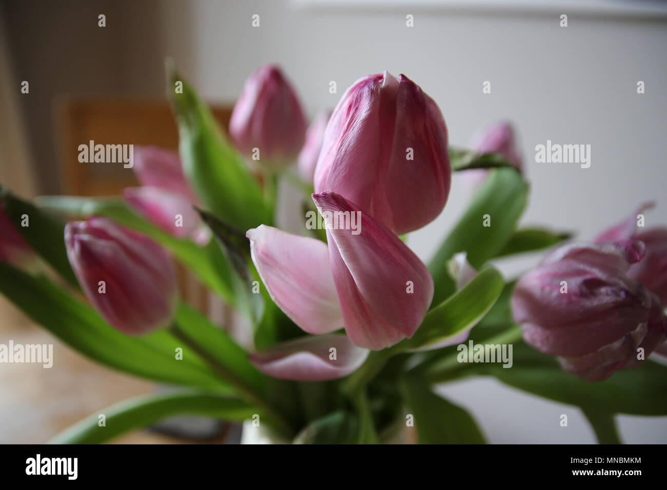 Rosa Tulpen in der Vase auf einem Esstisch Stockfoto