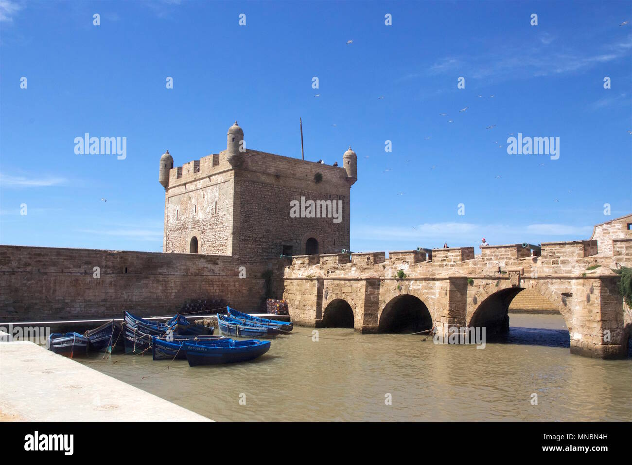 Blau Holz- fischerbooten am Skalu du Ville in der Stadtmauer von Essaouira, Marokko Stockfoto