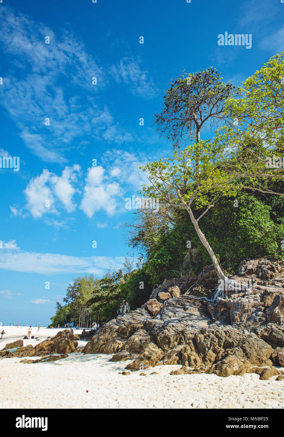 Beautoful asiatischen Landschaft des Regenwaldes und ein Ozean Stockfoto