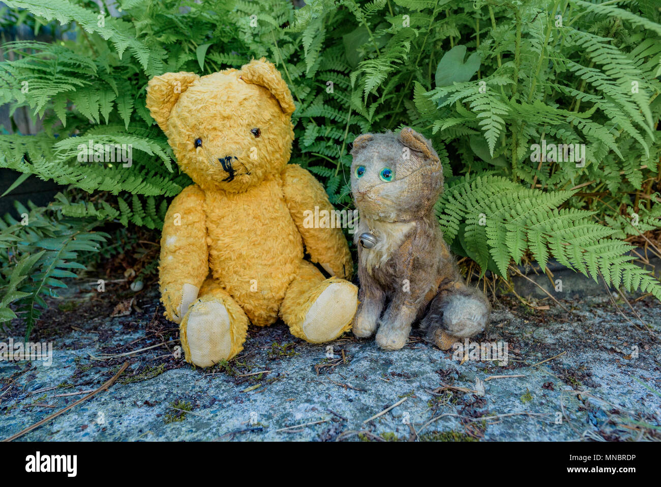 Teddy Bär und Katze spielzeug Stockfoto