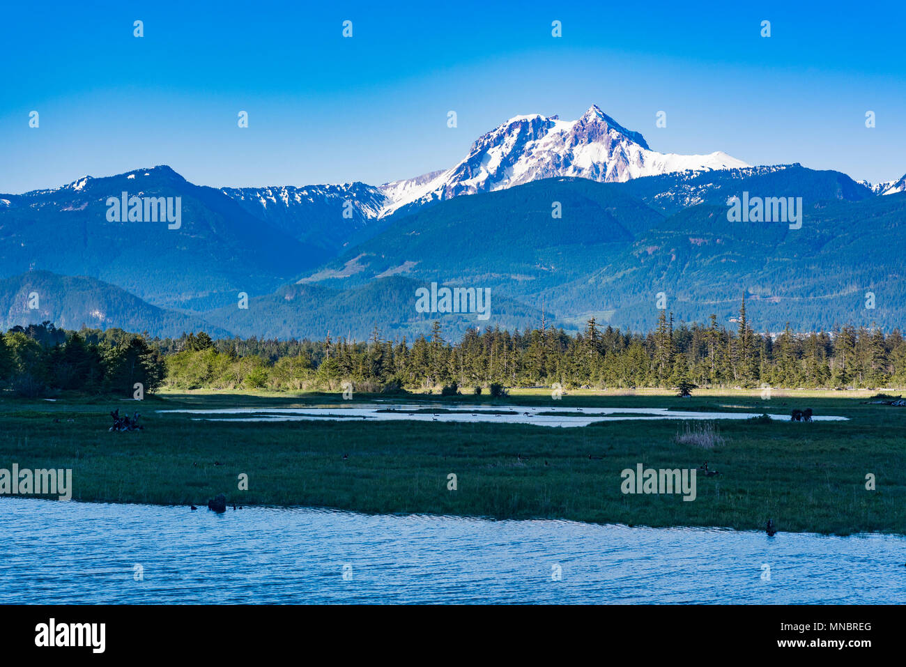 Squamish Estuary, Squamish, British Columbia, Kanada. Stockfoto