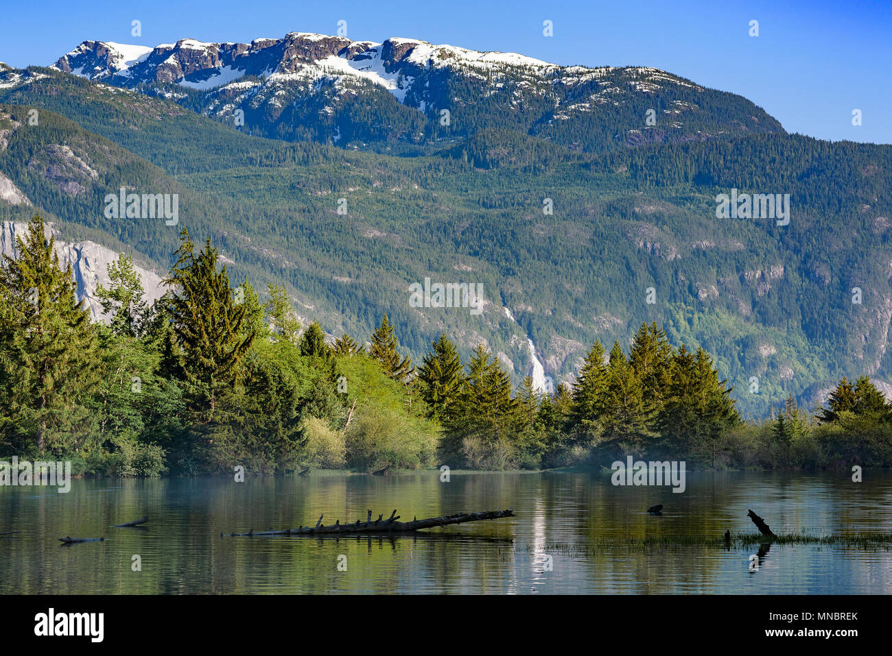 Squamish Estuary, Squamish, British Columbia, Kanada. Stockfoto