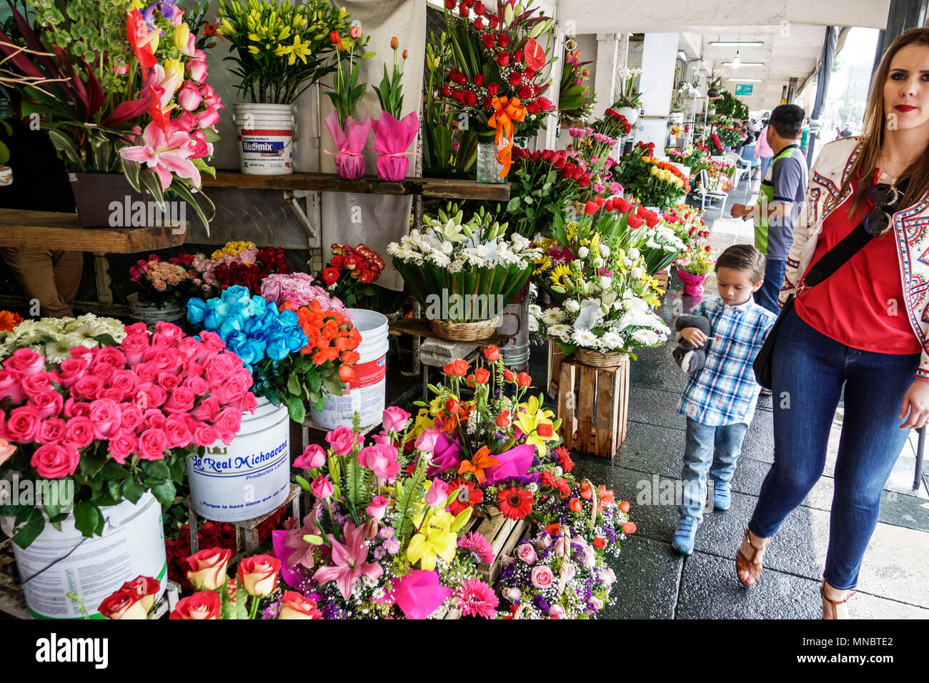 Mexiko-Stadt, Hispanic ethnische Alvaro Obregon San Angel, Blumenmarkt Mercado de Flores, Florist, Blumenstrauß, Blumenarrangement, Verkäufer verkaufen Verkauf, st Stockfoto
