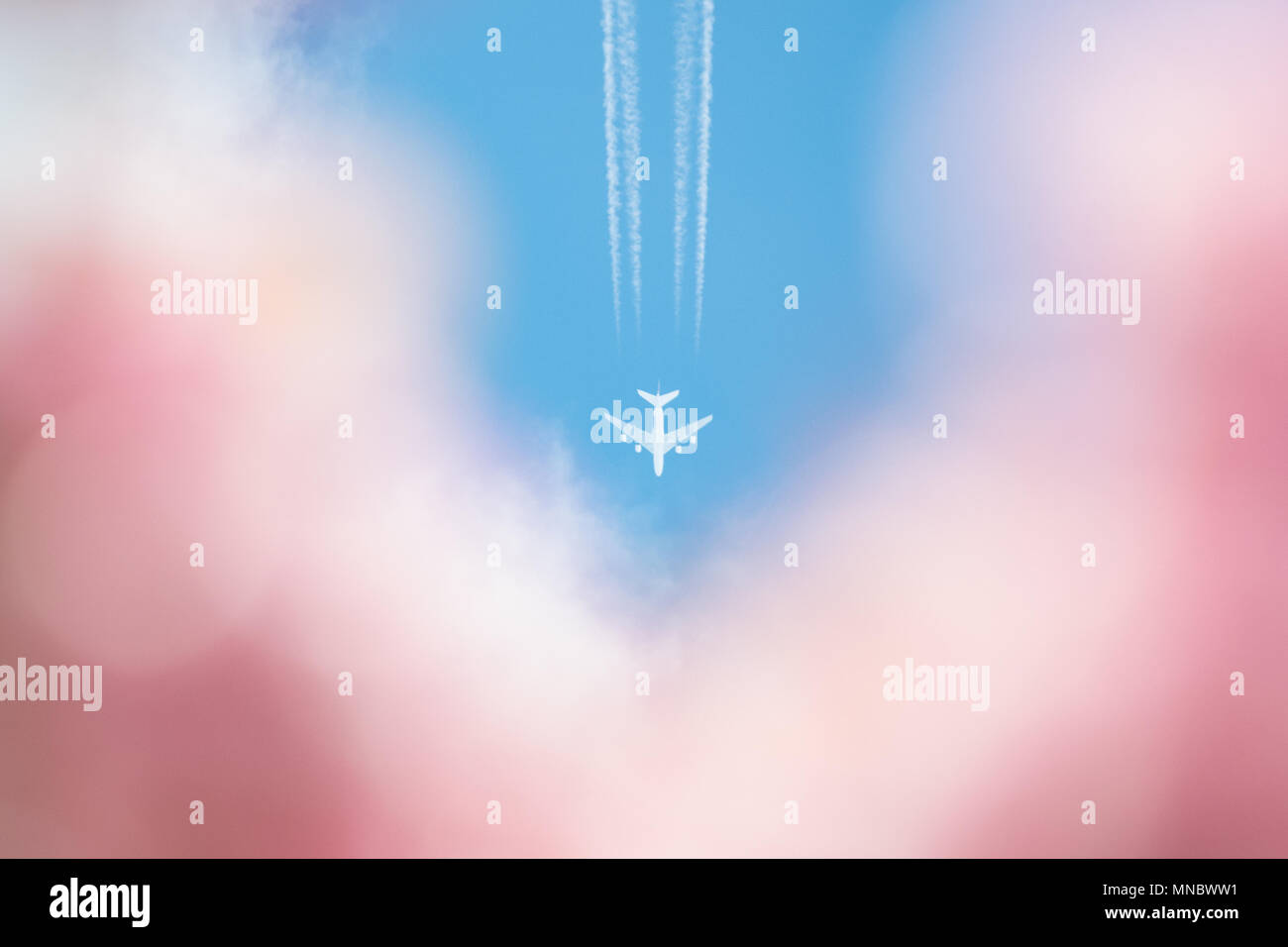 Frühling Urlaub Konzept- und Vapor Trail im blauen Himmel mit Unscharf rosa Kirschblüte im Vordergrund Stockfoto