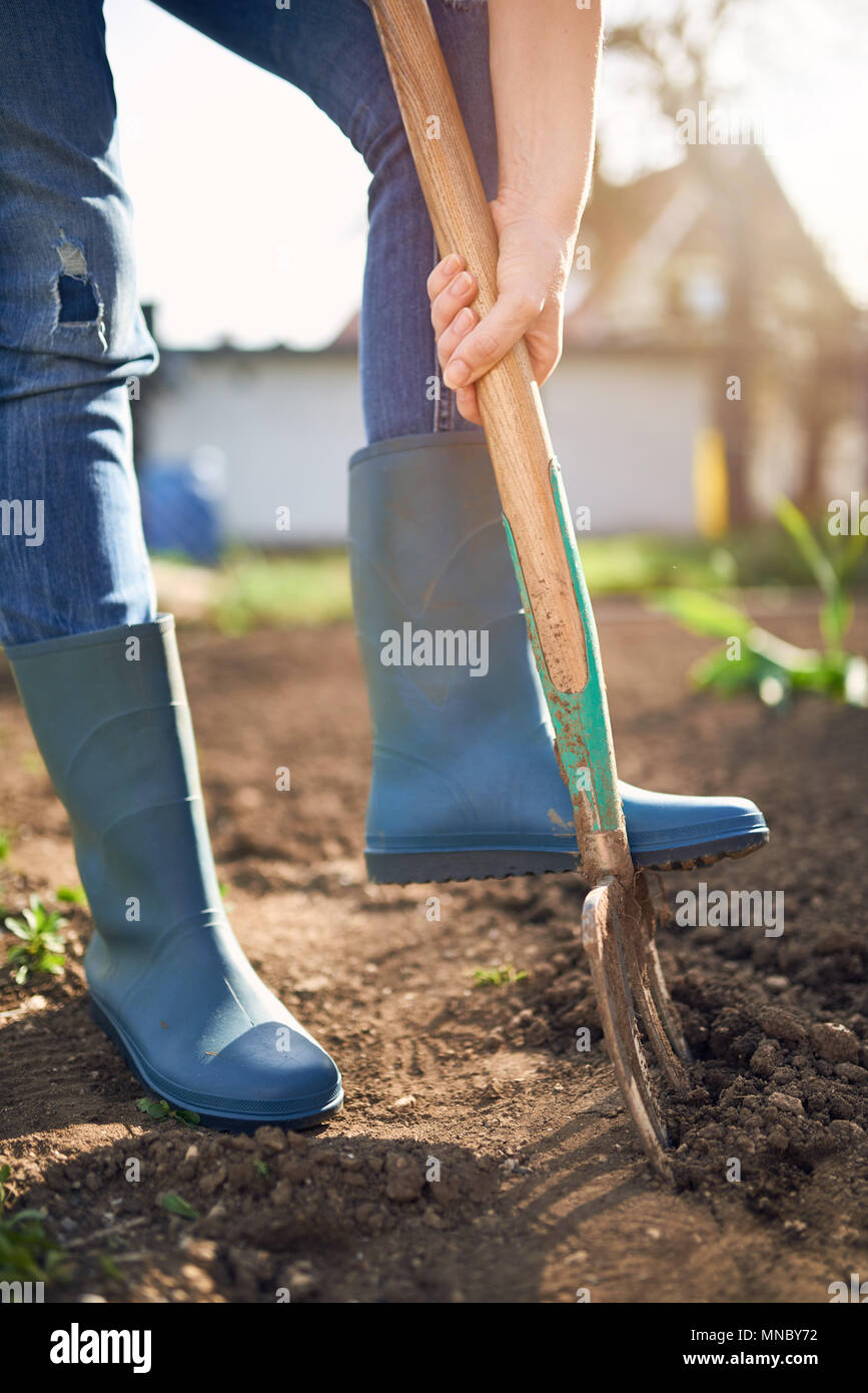 Arbeit in einem Garten - Graben Frühling Boden mit Spading Gabel. In der Nähe von graben Frühling Boden mit blauen Schaufel, es die Vorbereitung für die neue Aussaat. Stockfoto