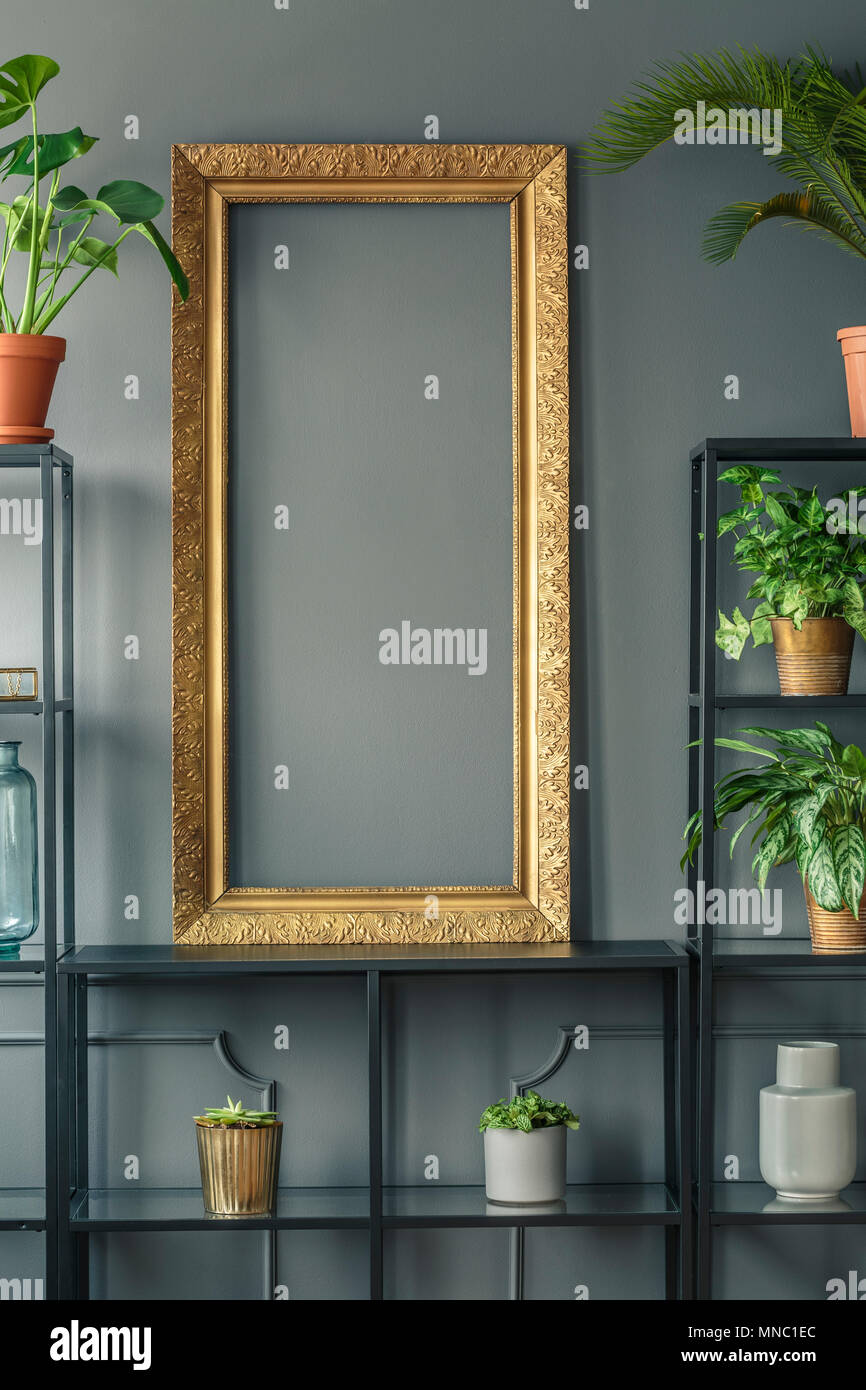 Ein Gold frame und Pflanzen in Vasen auf schwarzen Regale neben einem grauen Wand Stockfoto