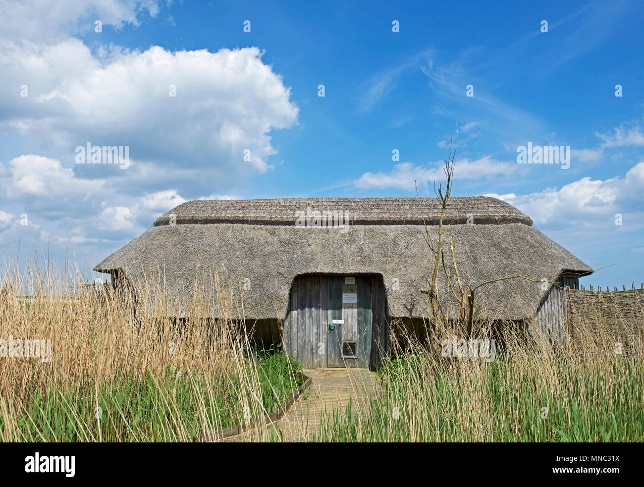 Beobachtung bei Cley, ein Norfolk Naturforscher Vertrauen Nature Reserve, North Norfolk, England UK ausblenden Stockfoto