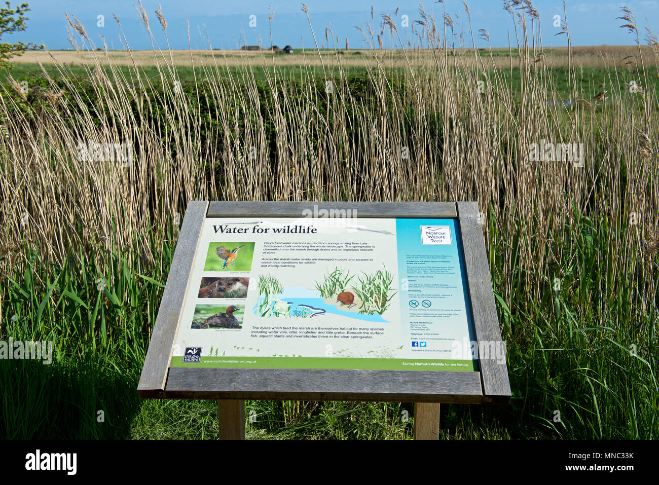 Informationen Panel, Cley, ein Norfolk Naturforscher Vertrauen Nature Reserve, North Norfolk, England Großbritannien Stockfoto
