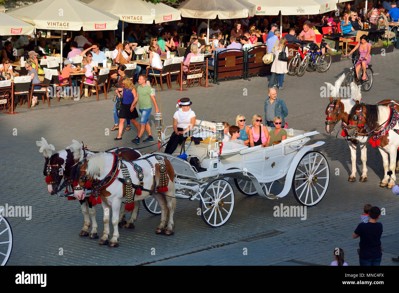 Traditionelle Pferdekutschen auf dem Marktplatz von Krakau. Polen Stockfoto