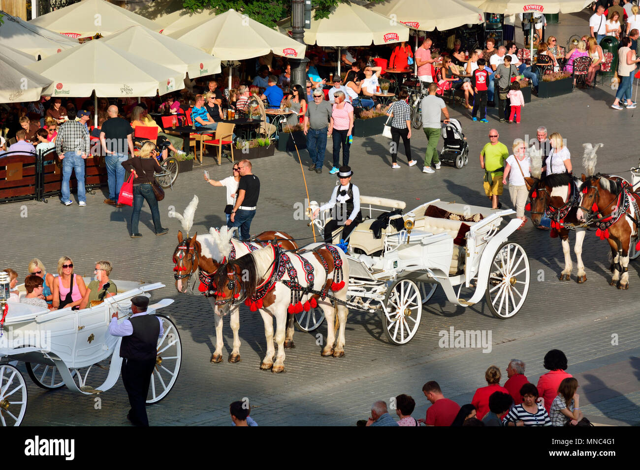 Traditionelle Pferdekutschen auf dem Marktplatz von Krakau. Polen Stockfoto