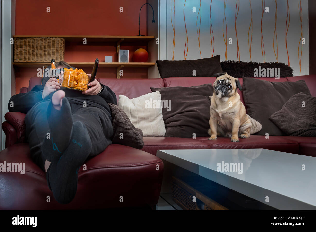 Ein Mensch isst Chips vor dem Fernseher. Sein Hund sitzt neben ihm auf der Couch. Der Mann hat ein Loch in die Strümpfe und eine 3D-Brille auf. Frosch p Stockfoto