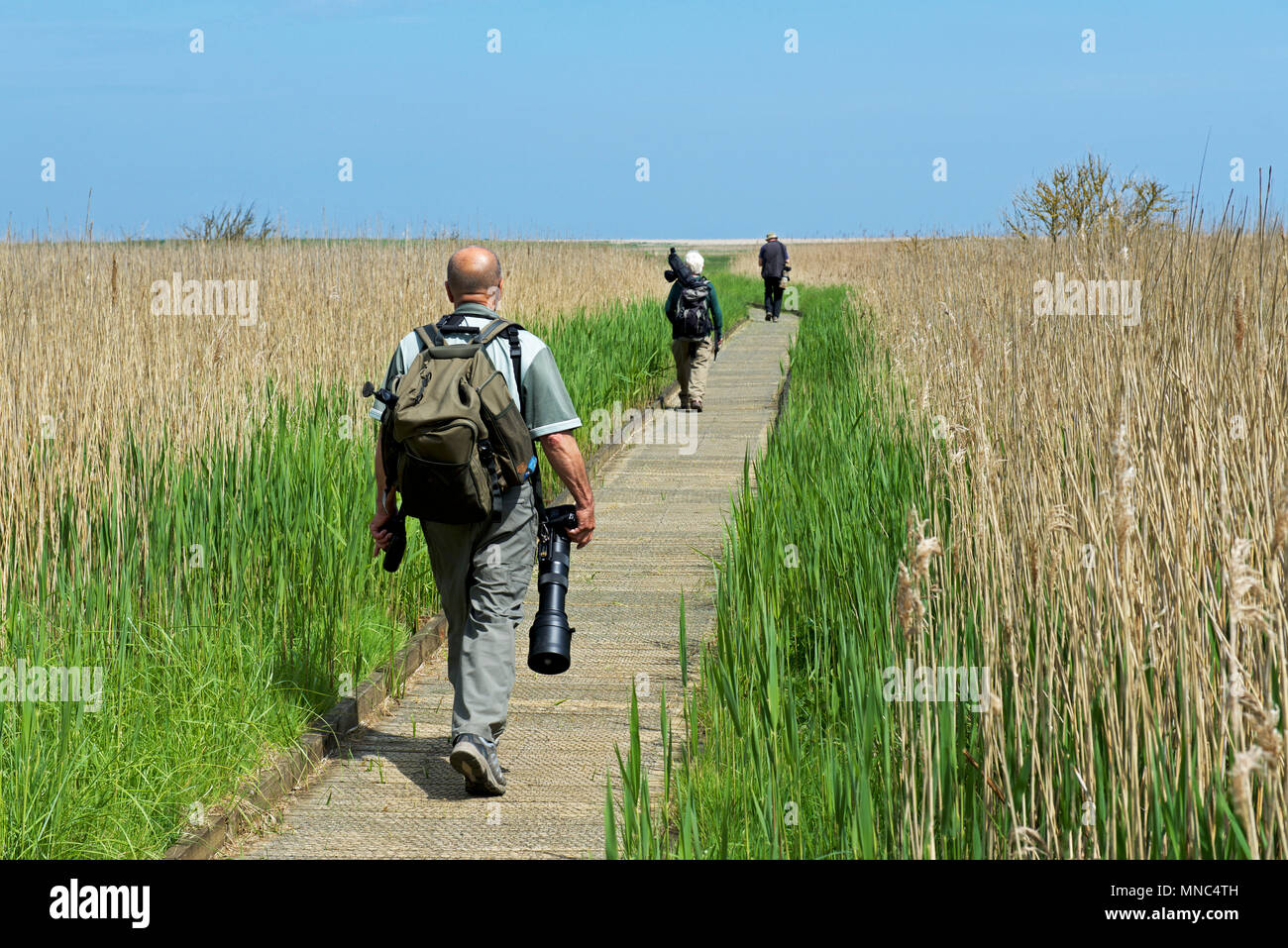 Vogelbeobachter am Cley, ein Norfolk Naturforscher Vertrauen Nature Reserve, North Norfolk, England Großbritannien Stockfoto