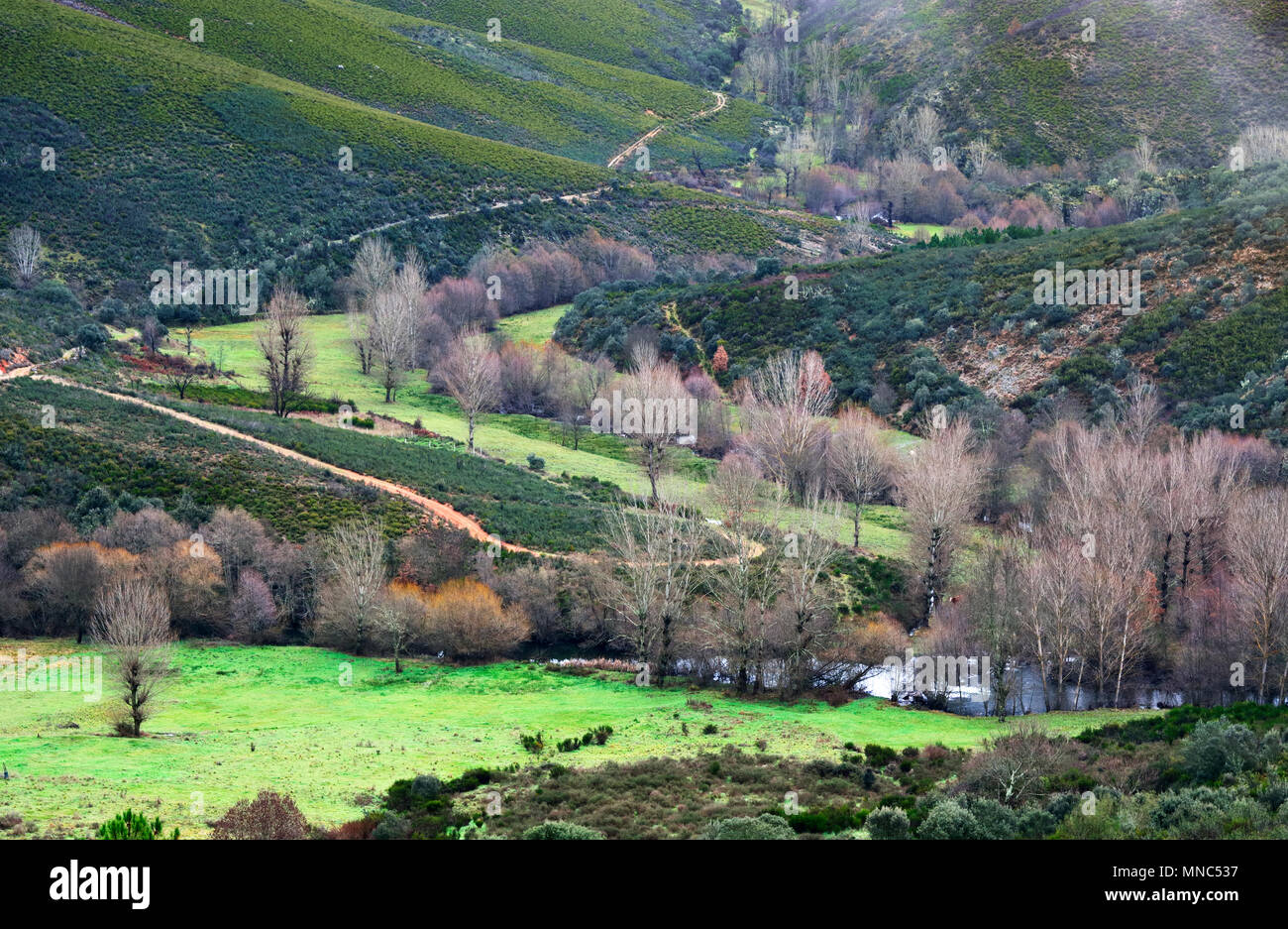 Wiesen und Weiden in der Nähe von Rio de Aufoder in Winter. Naturpark Montesinho, Tras-os-Montes. Portugal Stockfoto