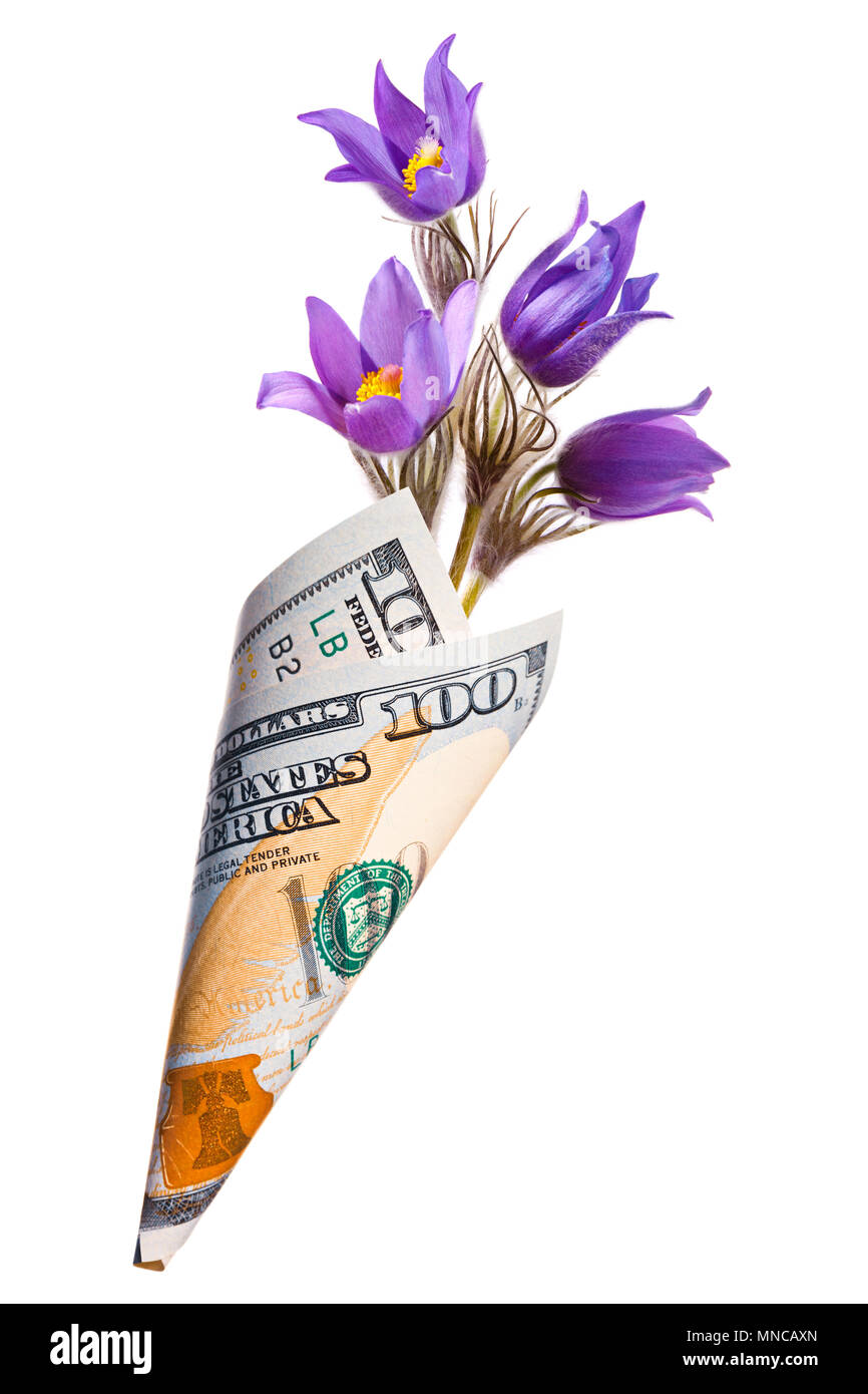 Papier Geld beutel aus hundert Dollar mit Stiefmütterchen Blumen auf weißem Hintergrund Stockfoto