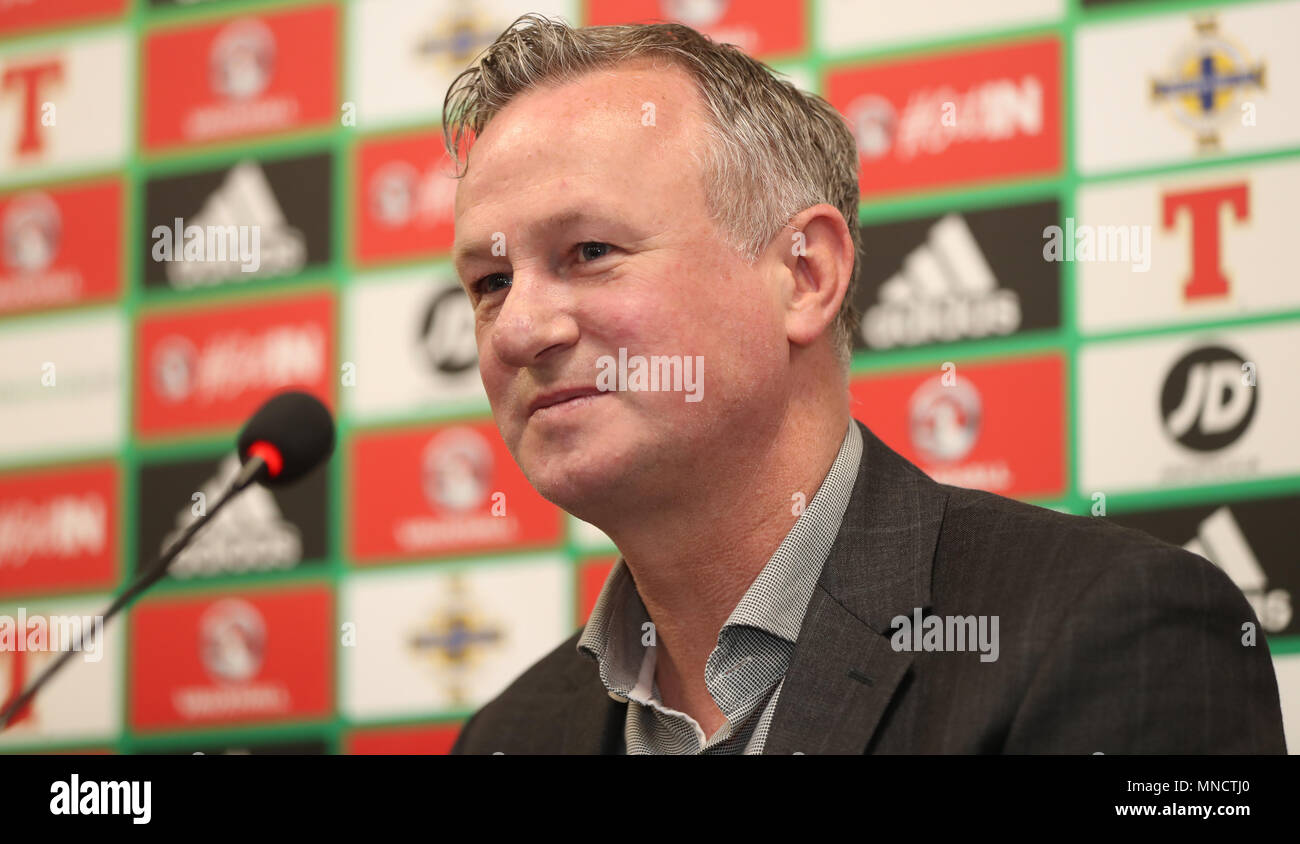 Nordirland Manager Michael O'Neill während der Pressekonferenz im Windsor Park, Belfast. Stockfoto